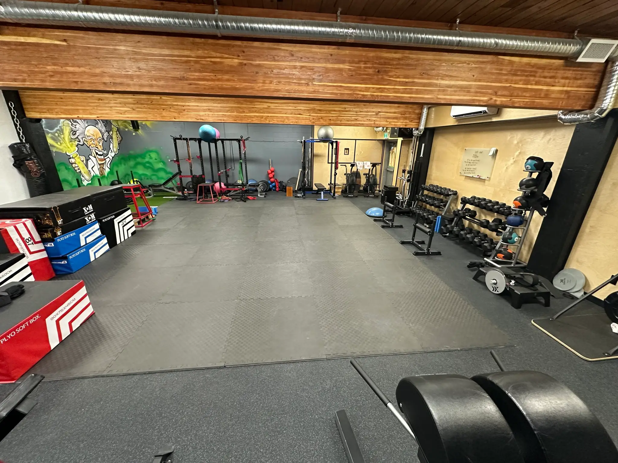 Nelson Sport Lab