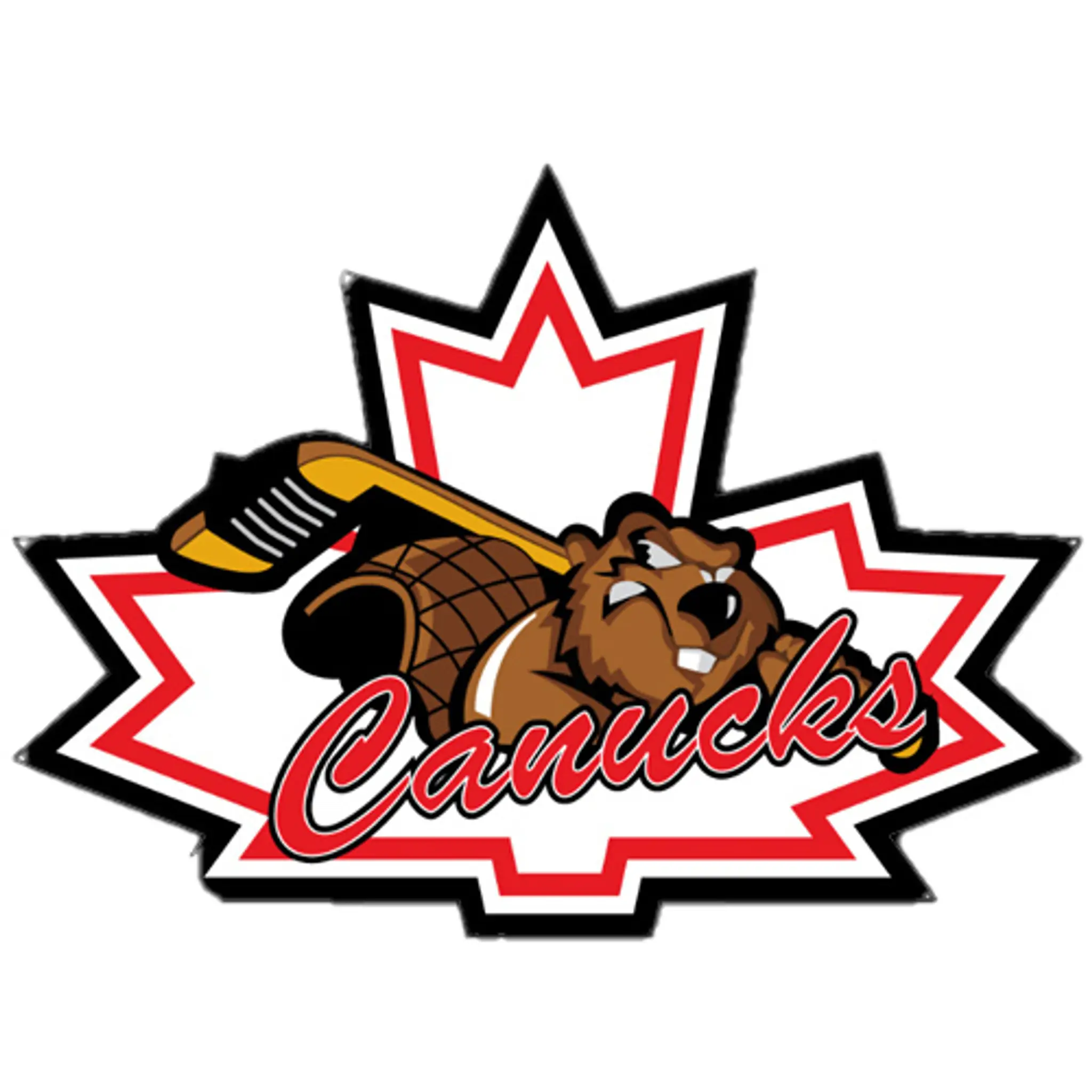 Leamington Flyers Inc