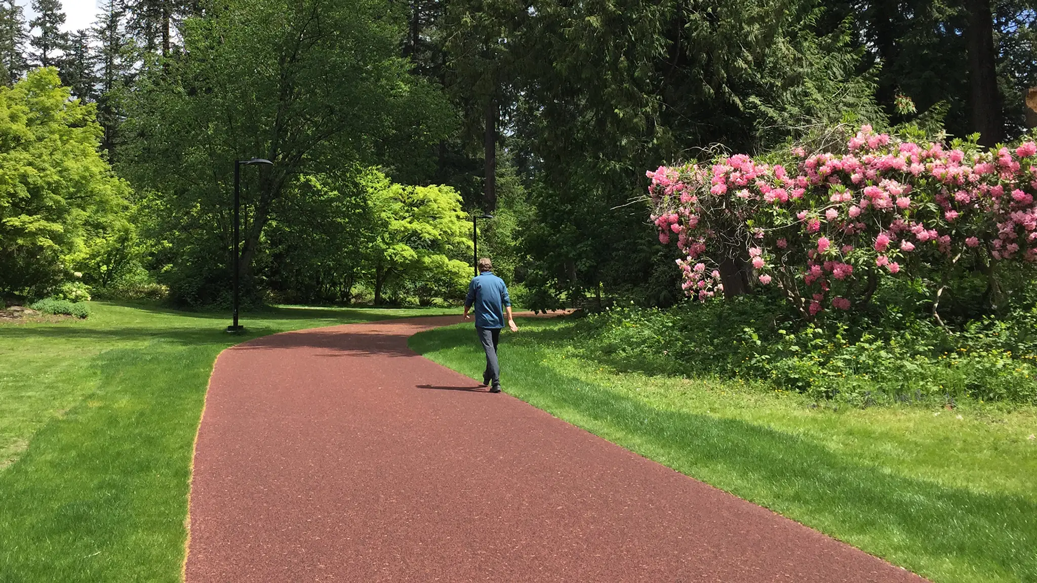 Confederation Park Track