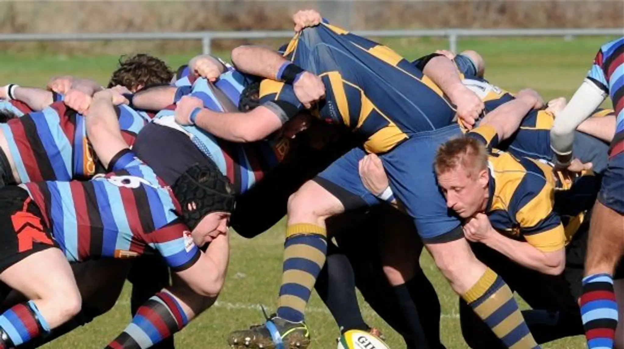 Pegasus Palmerians Rugby Club