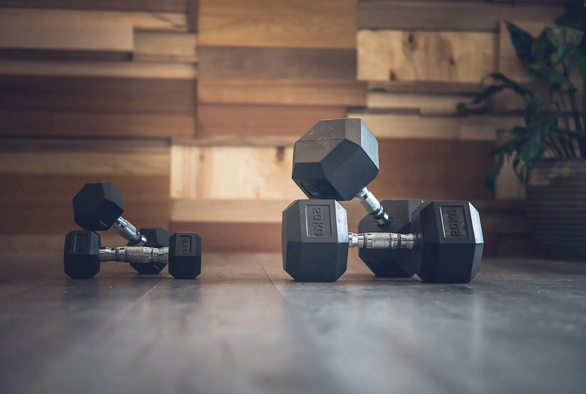 Evolution Personal Training & Fitness