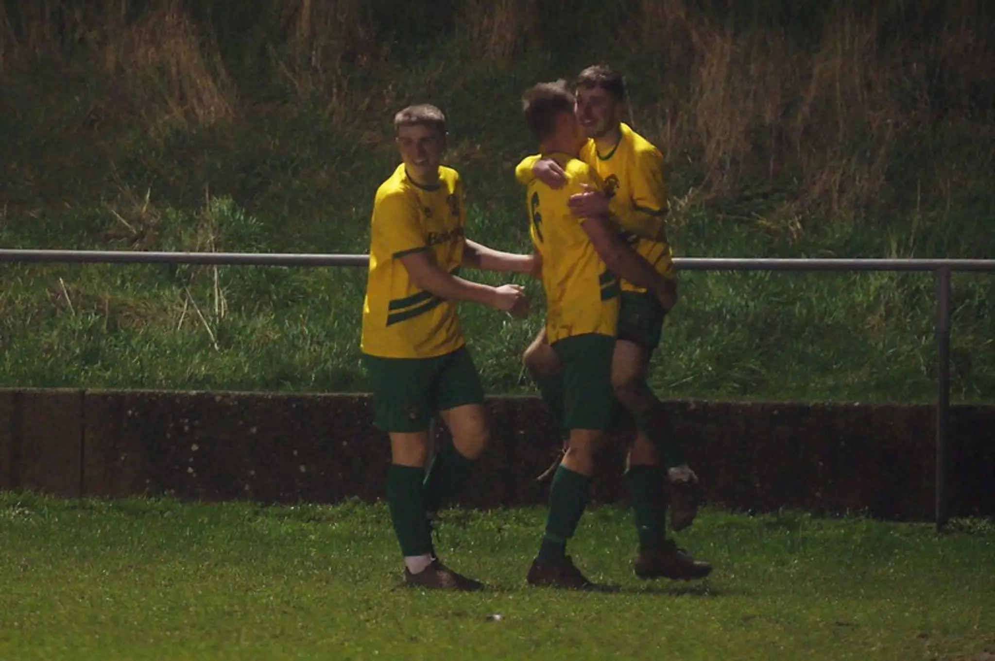 Hailsham Town Football Club