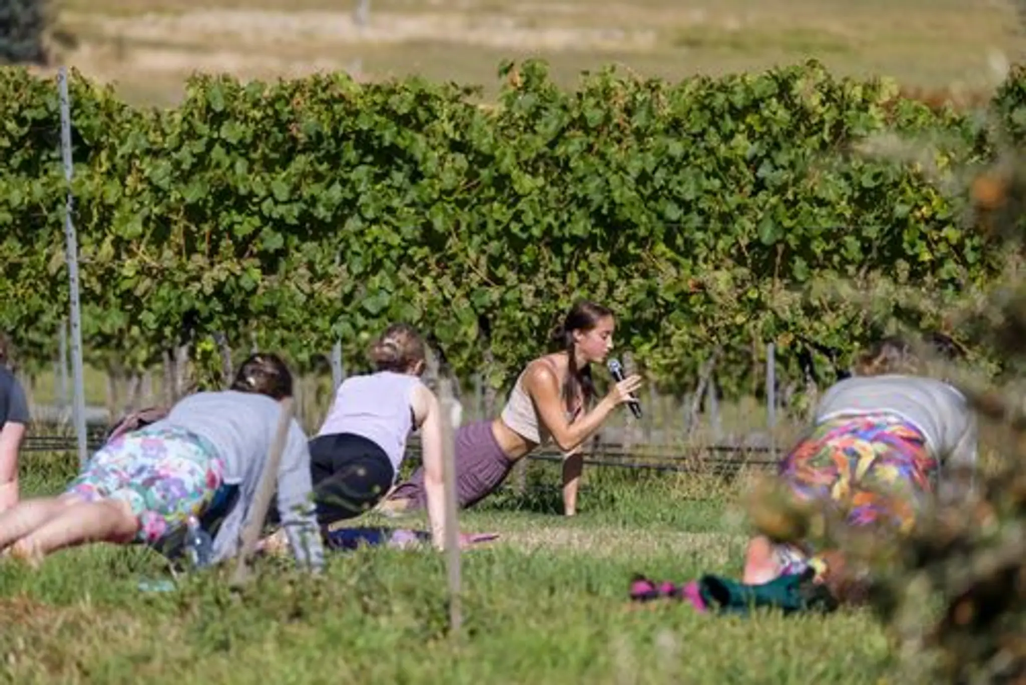 Movement Evolution Studio (previously Pilates & Movement Therapy Studio)