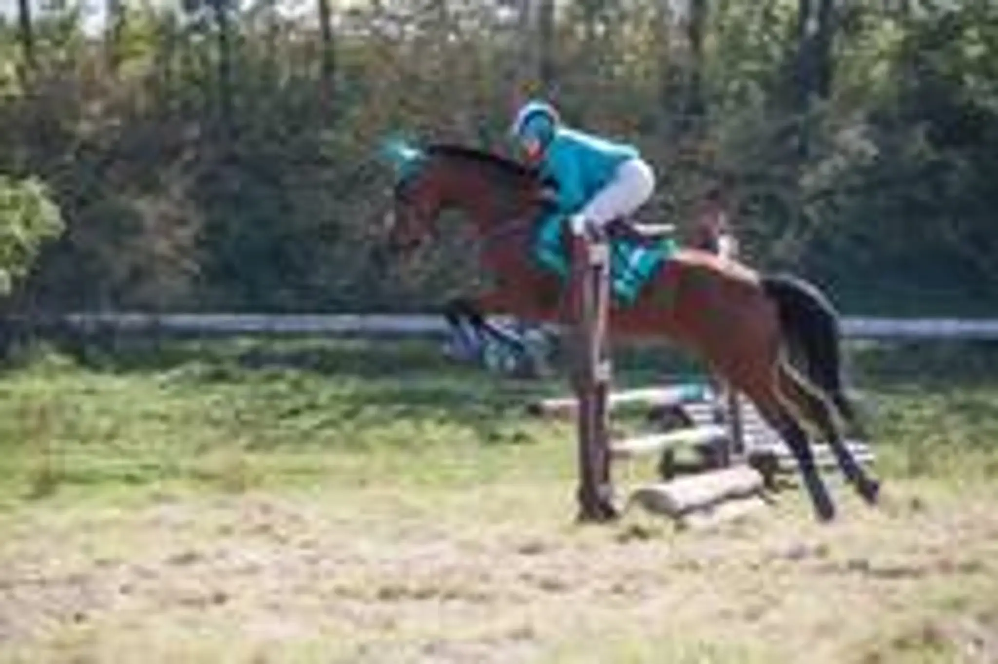 Ecole d'équitation des Rives de Meurthe