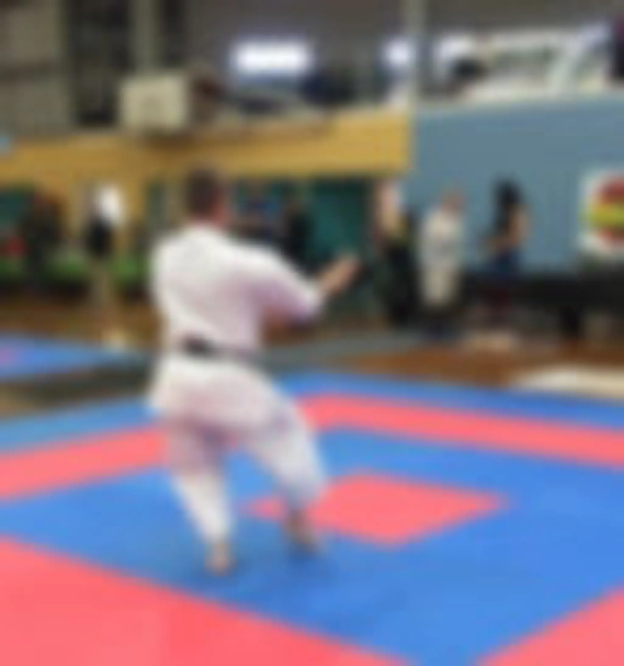 Okinawan Goju-ryu Karate Qld