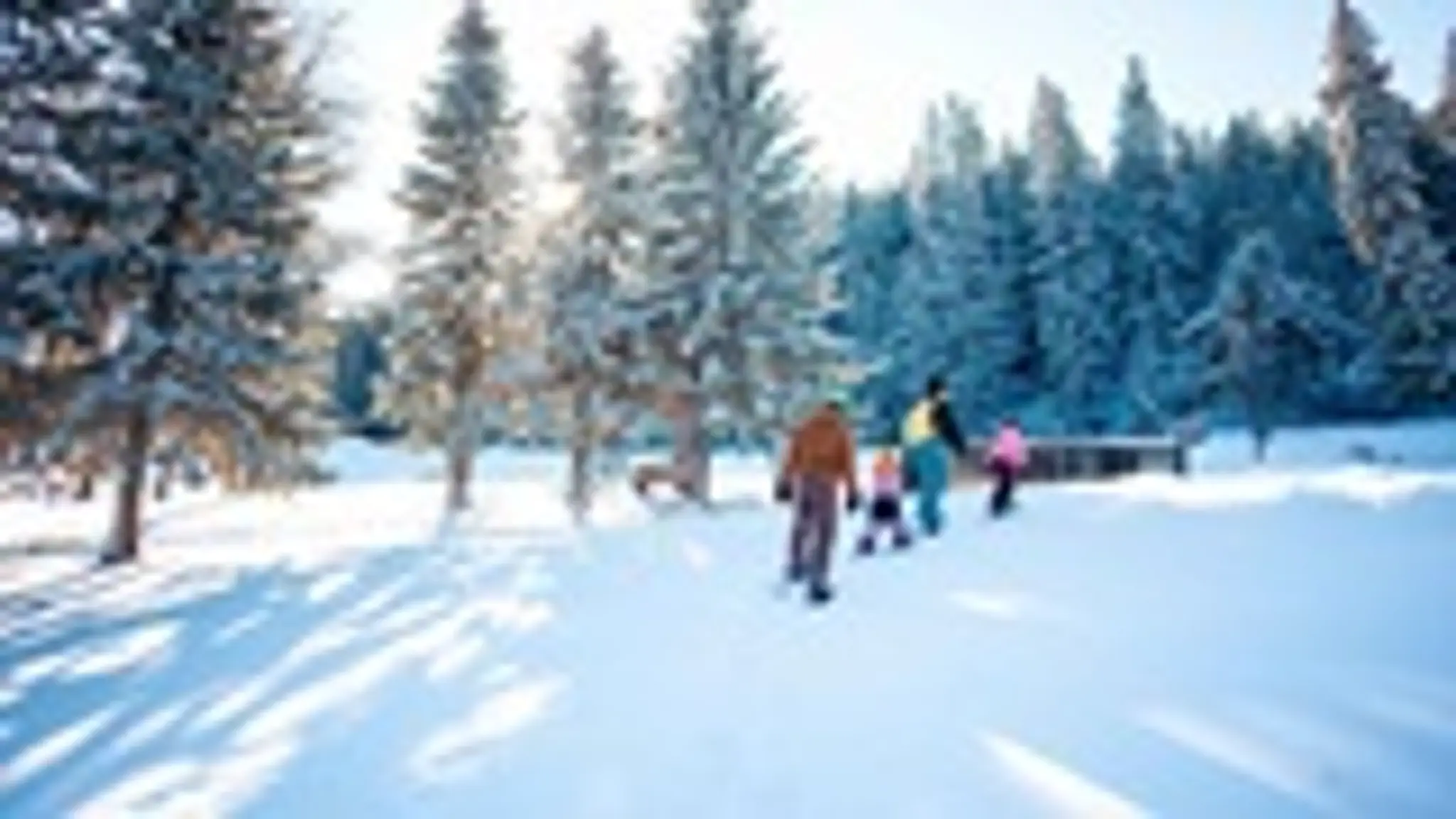 Punnichy Golf Course