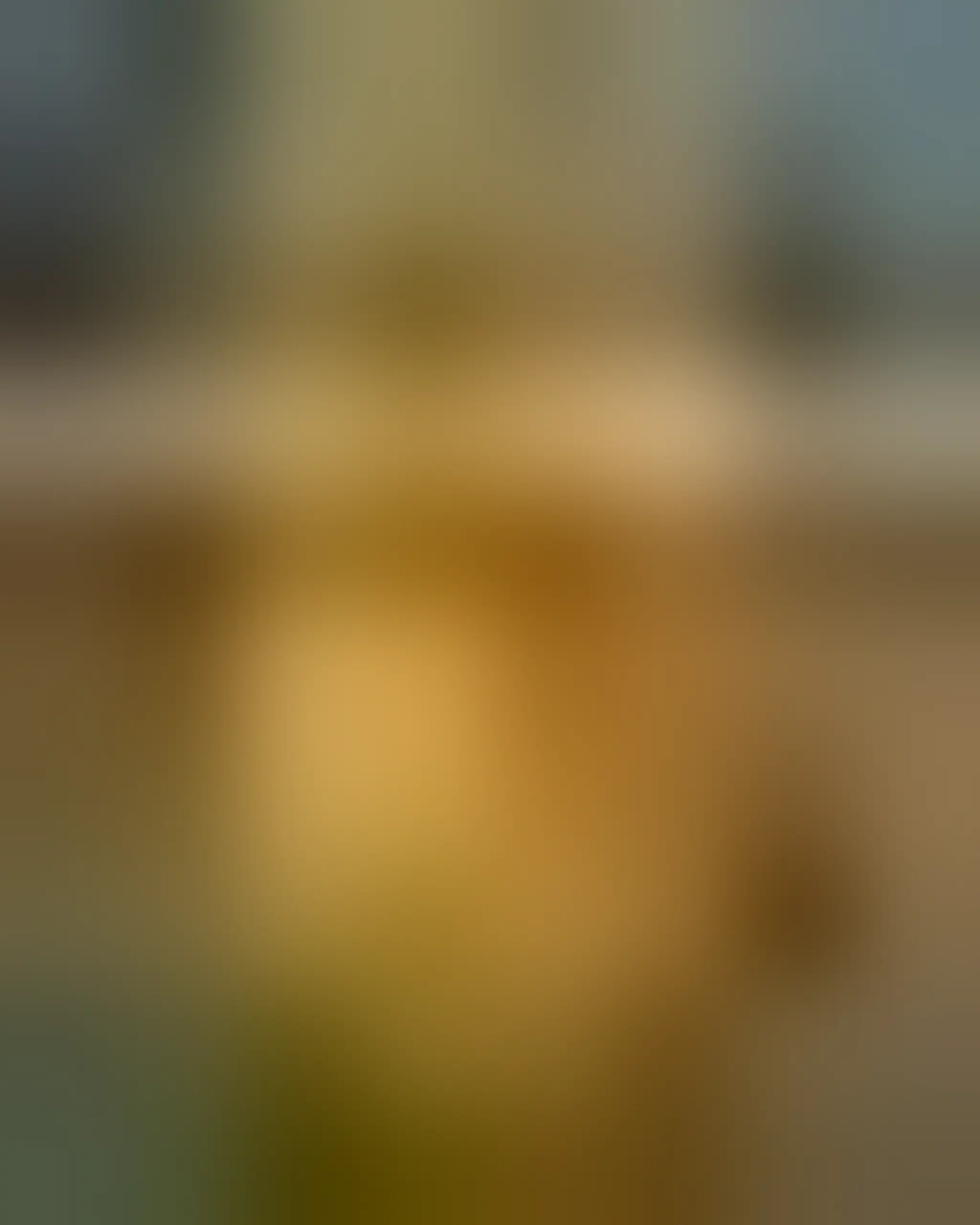 Rock Up Rushden Lakes