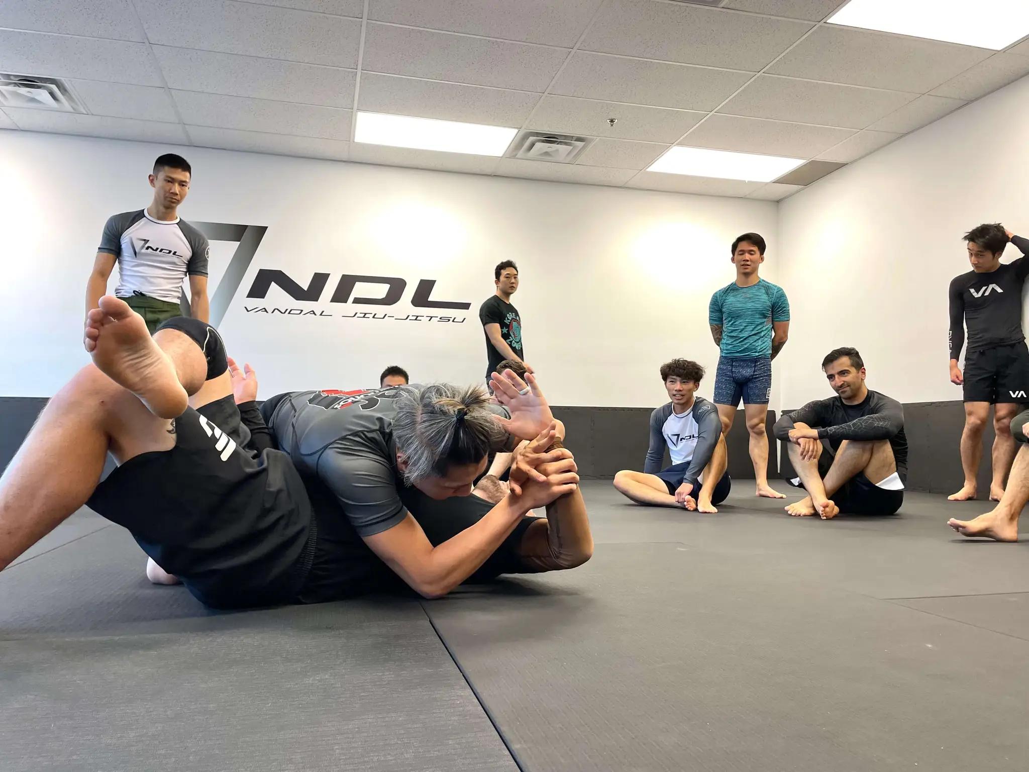 VNDL Jiu-Jitsu