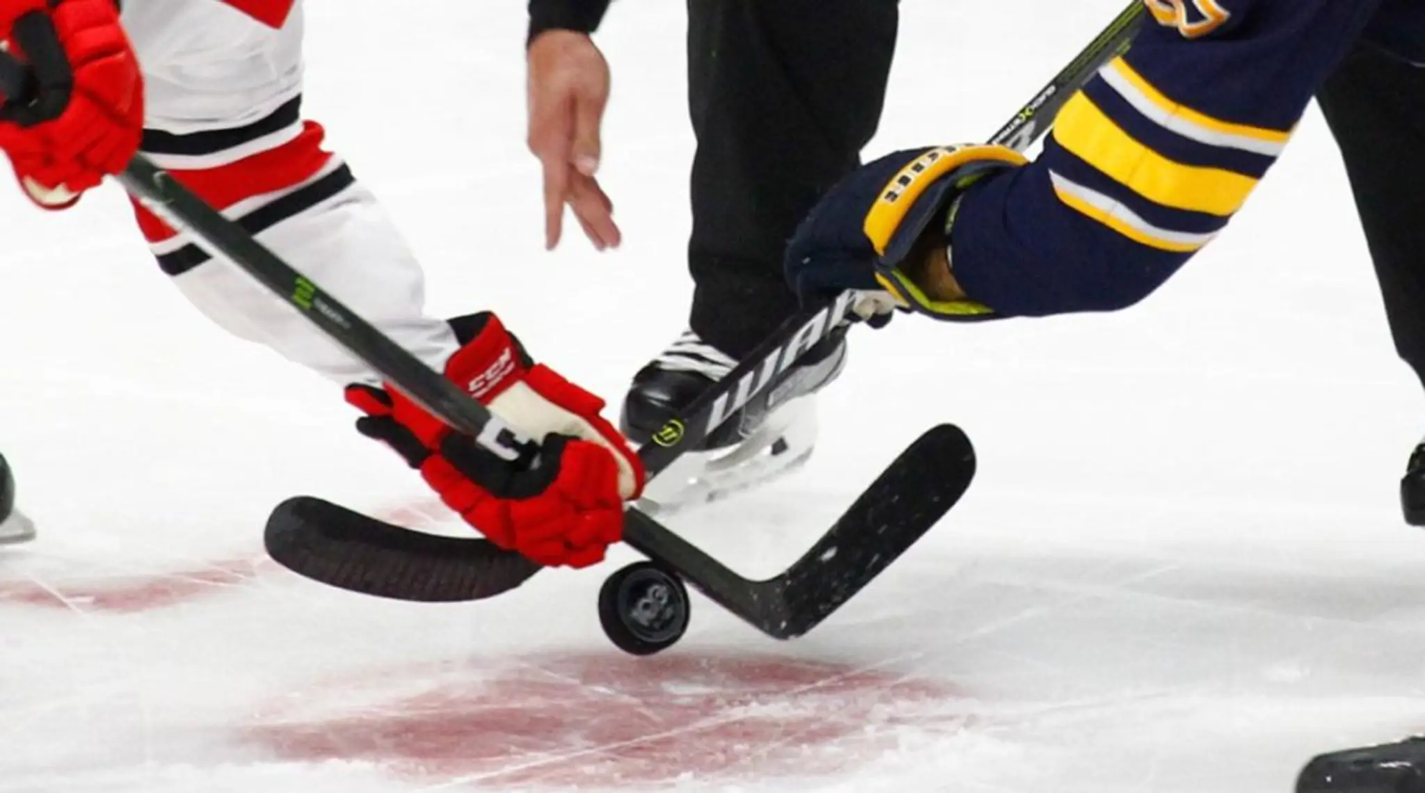 Capital Recreation Hockey League Inc.