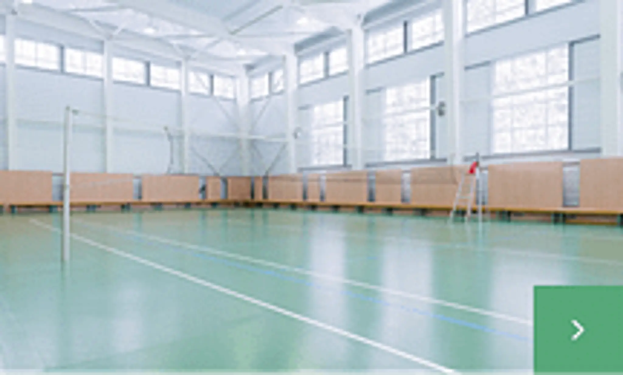 The Truewellness - Fitness Equipment & Gym Equipment Shop