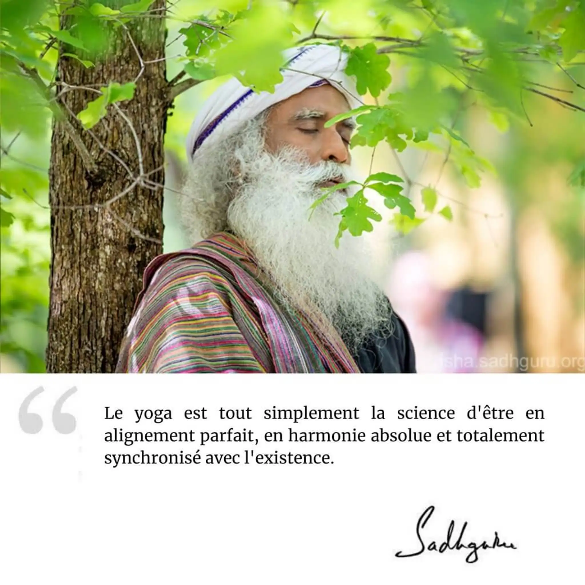 Atma - Coraline Lepage Naturopathie Yoga