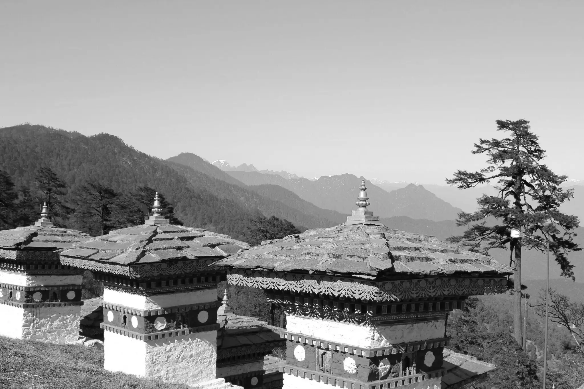 Yoga and Ayurveda with Natalie