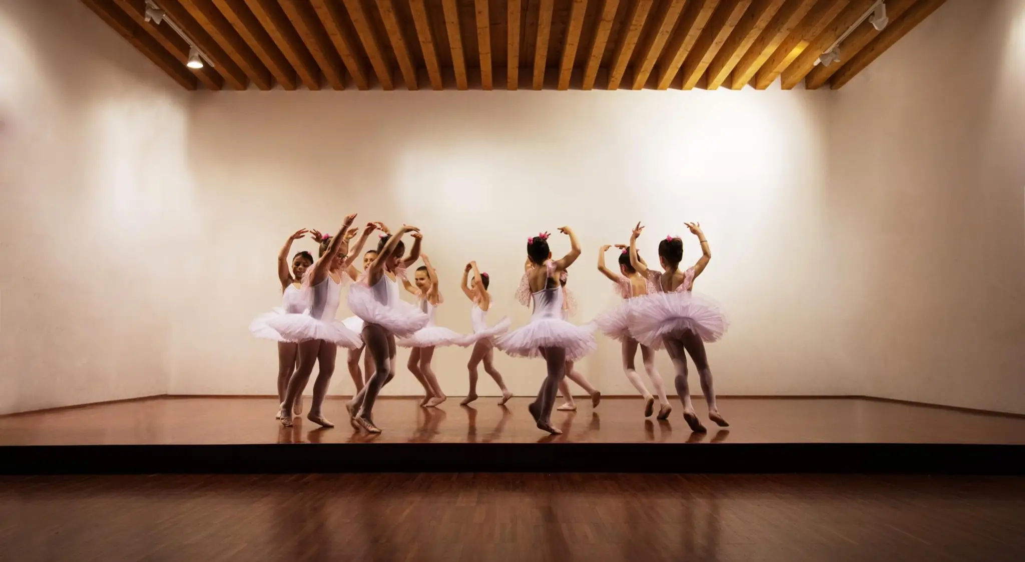 Two Sisters Dance Projects, Inc.