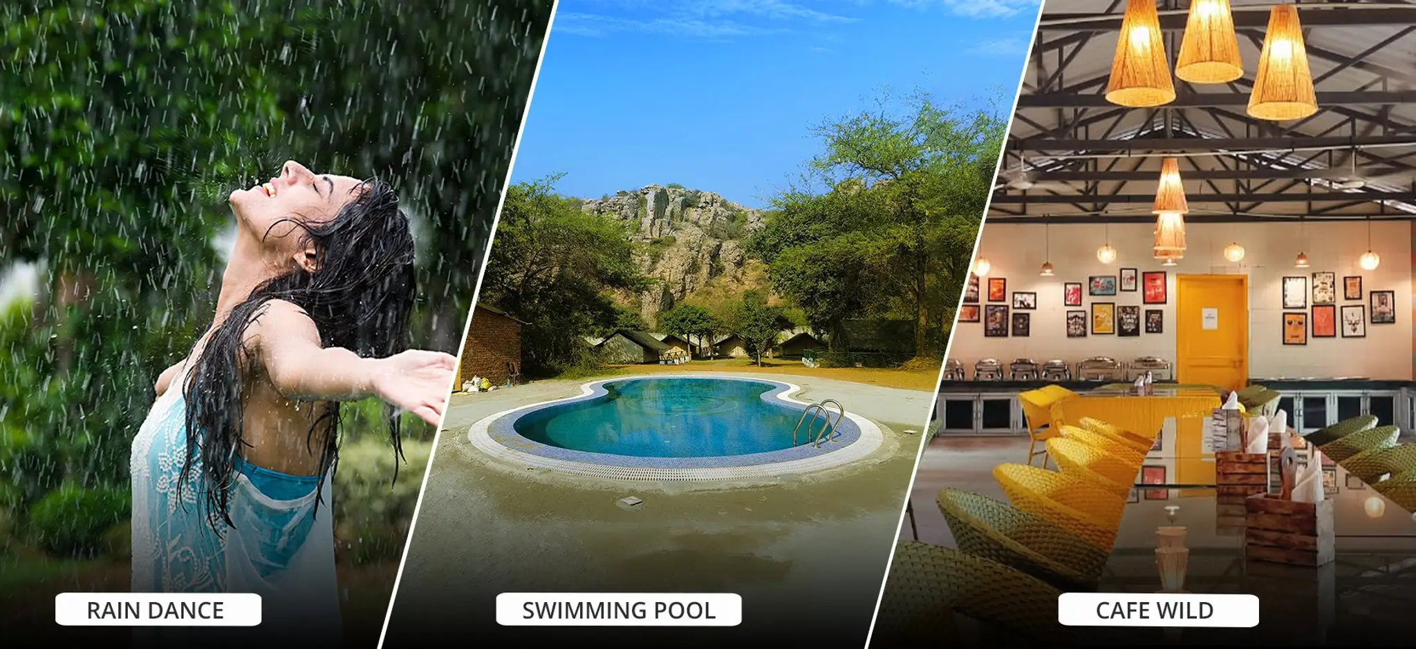 Camp Wild at Aravali Valley