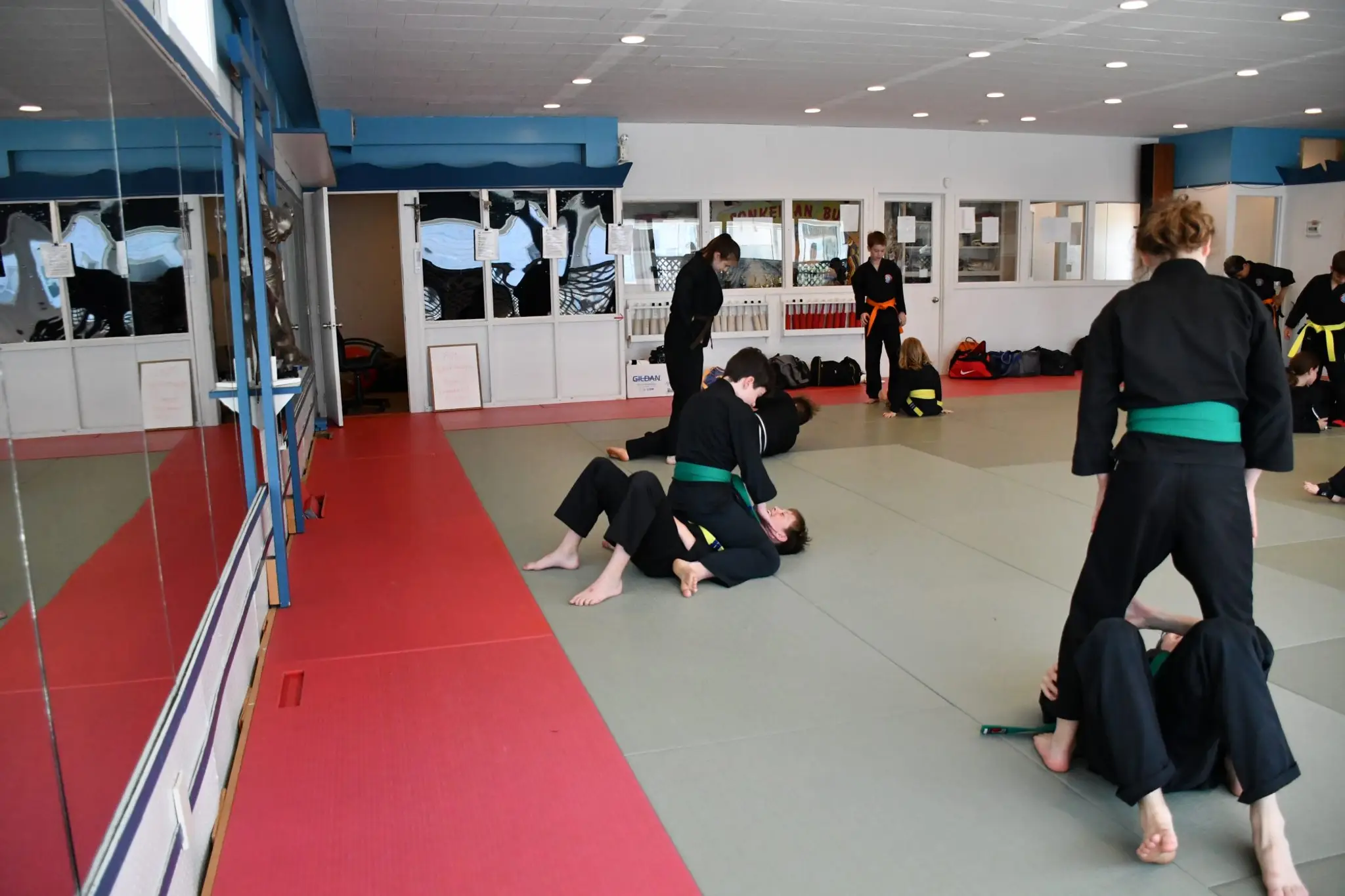 Sonkeikan Budo