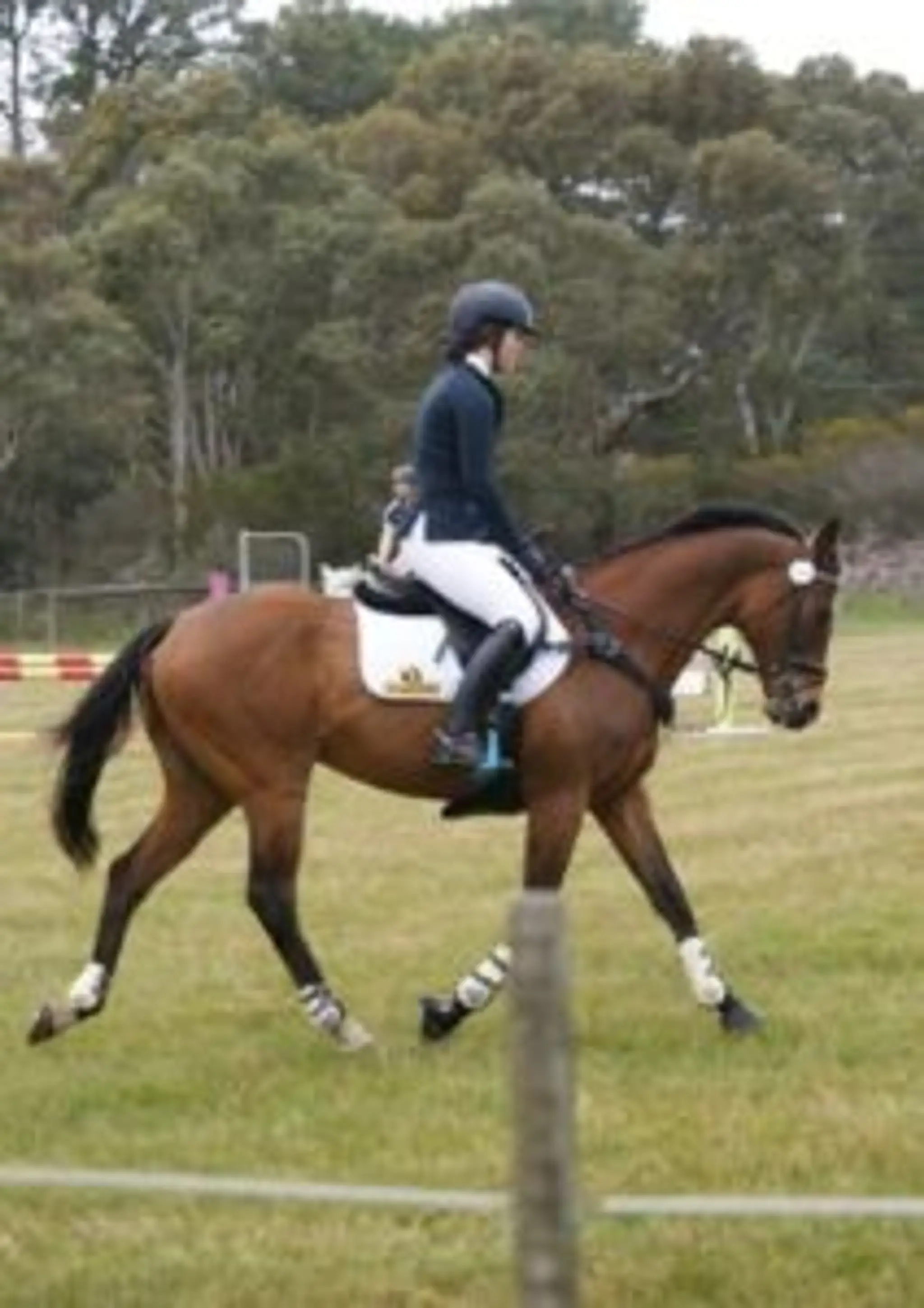 Danbury Park Equitation