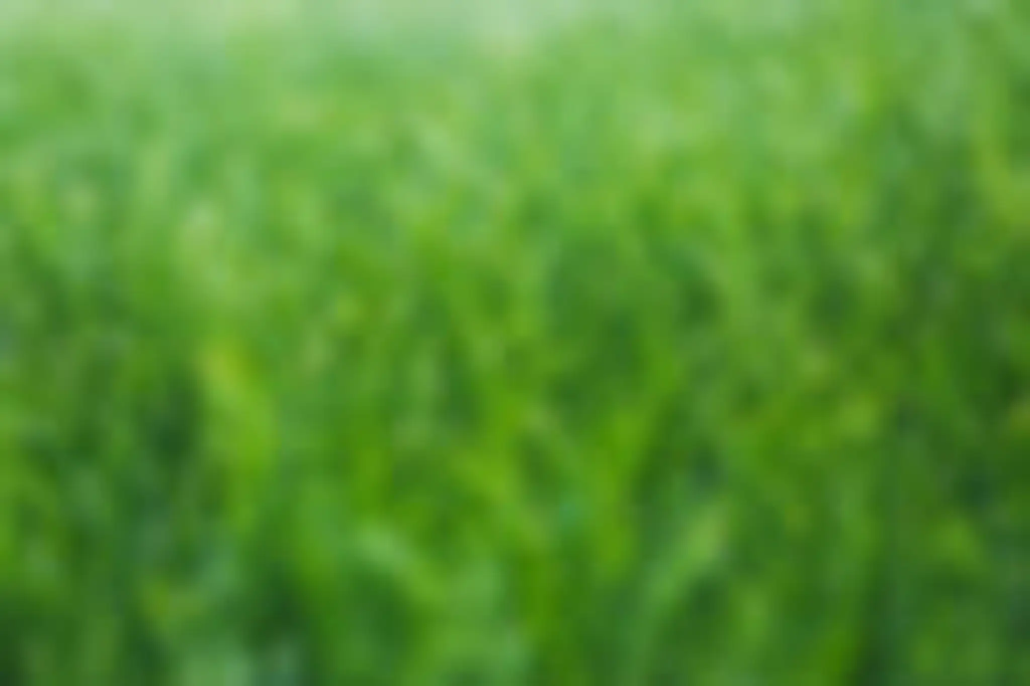 Pine Knot Driving Range