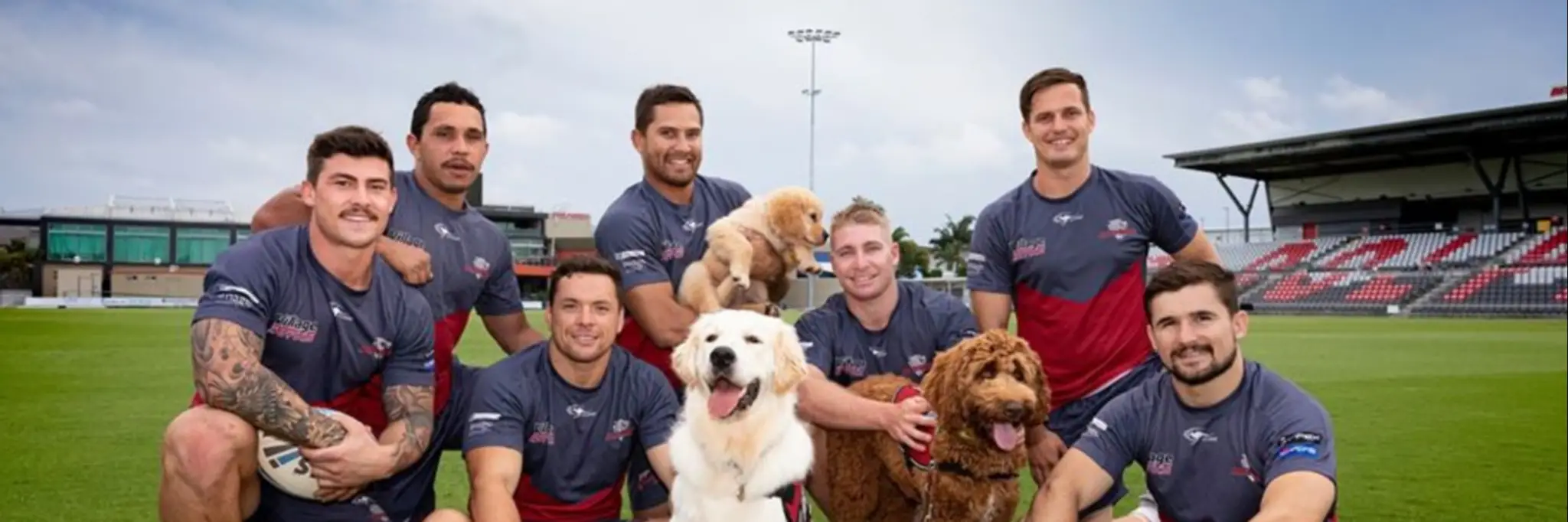 Redcliffe Dolphins Rugby League