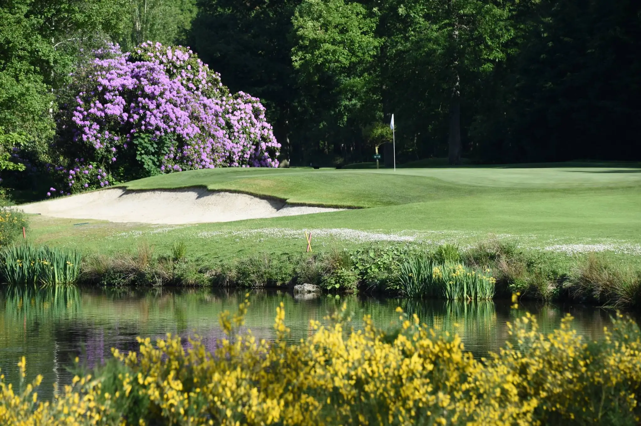Golf Isabella