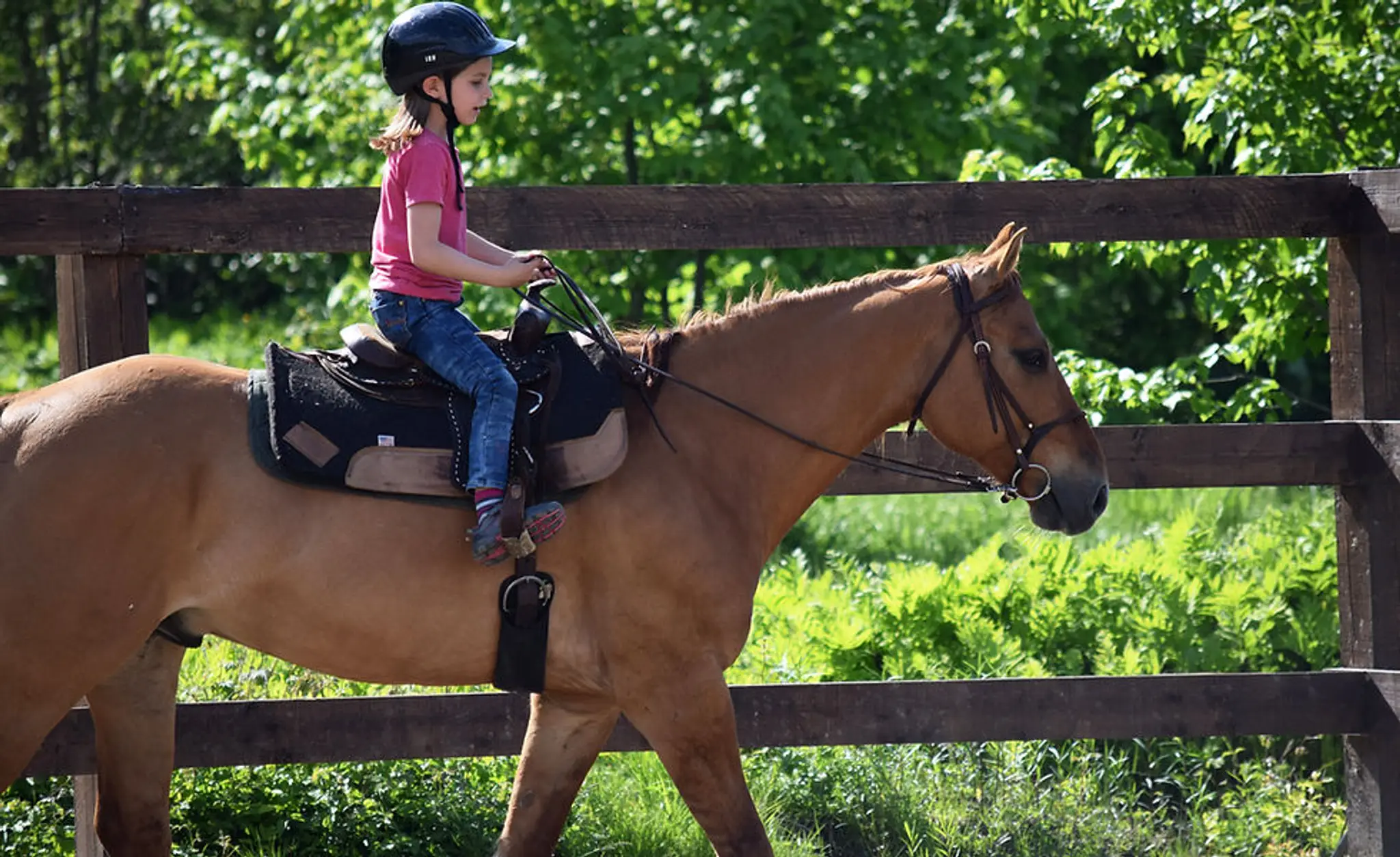 Centre questre Aurlie Pich