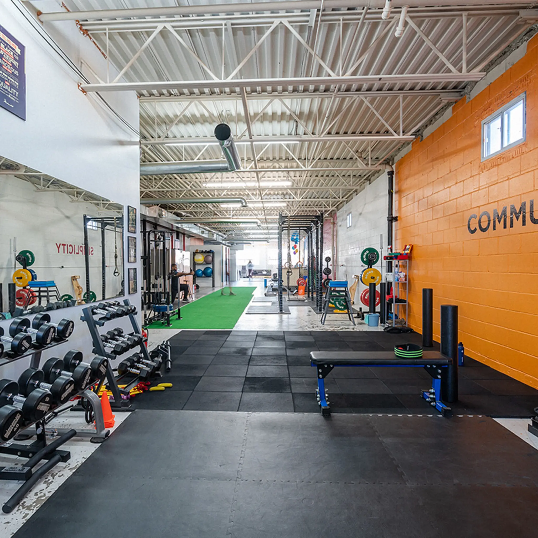 Iron Lion Training