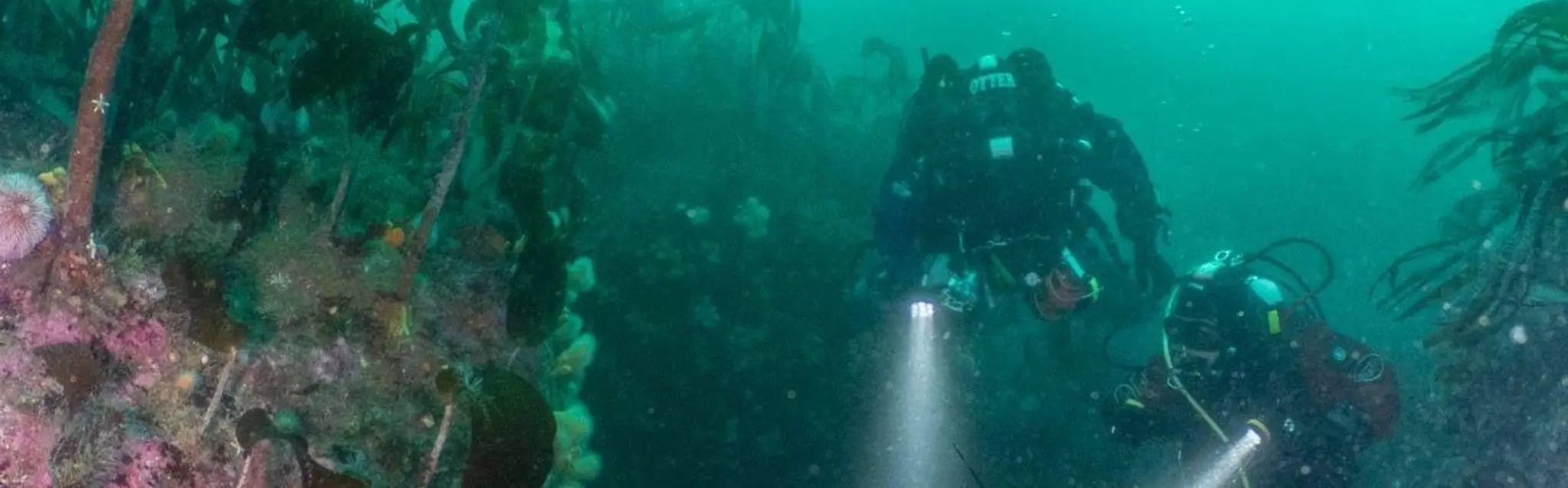 Scotts Scuba Services