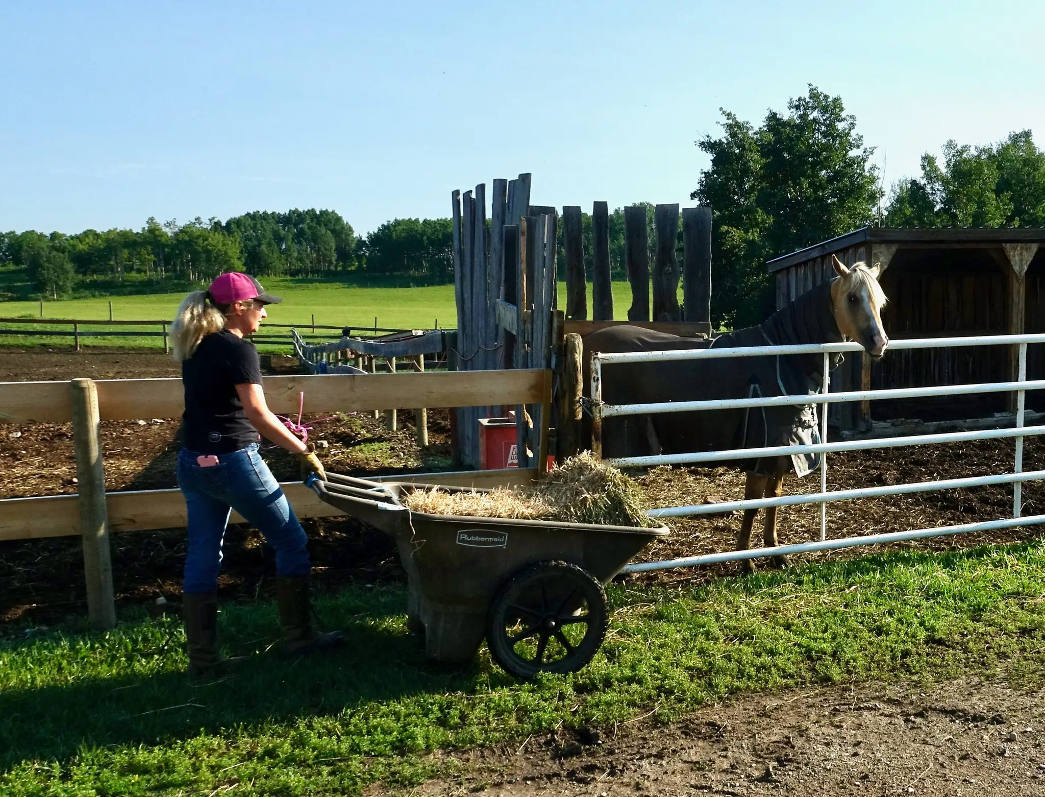 Brayco Stables