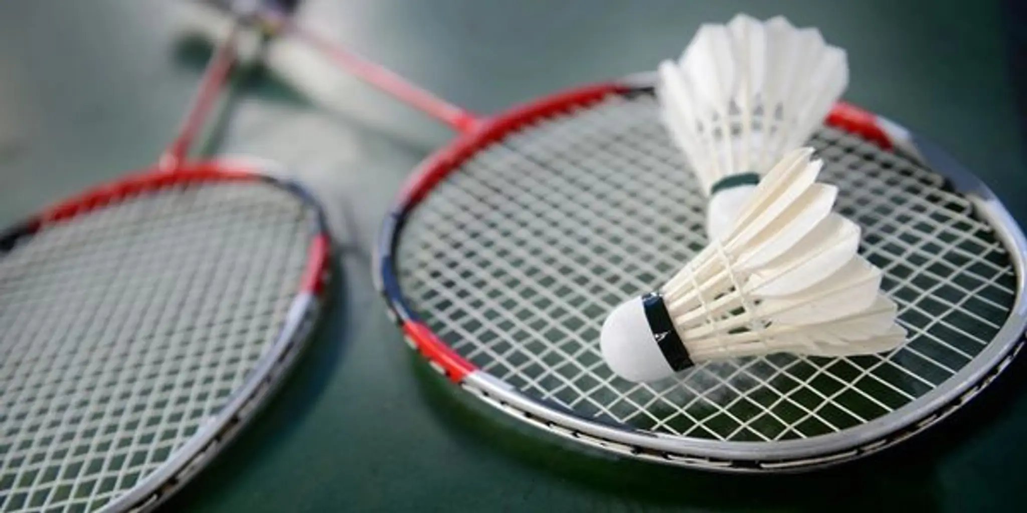 Yadav Pro Badminton Academy at Gokul Sports Arena