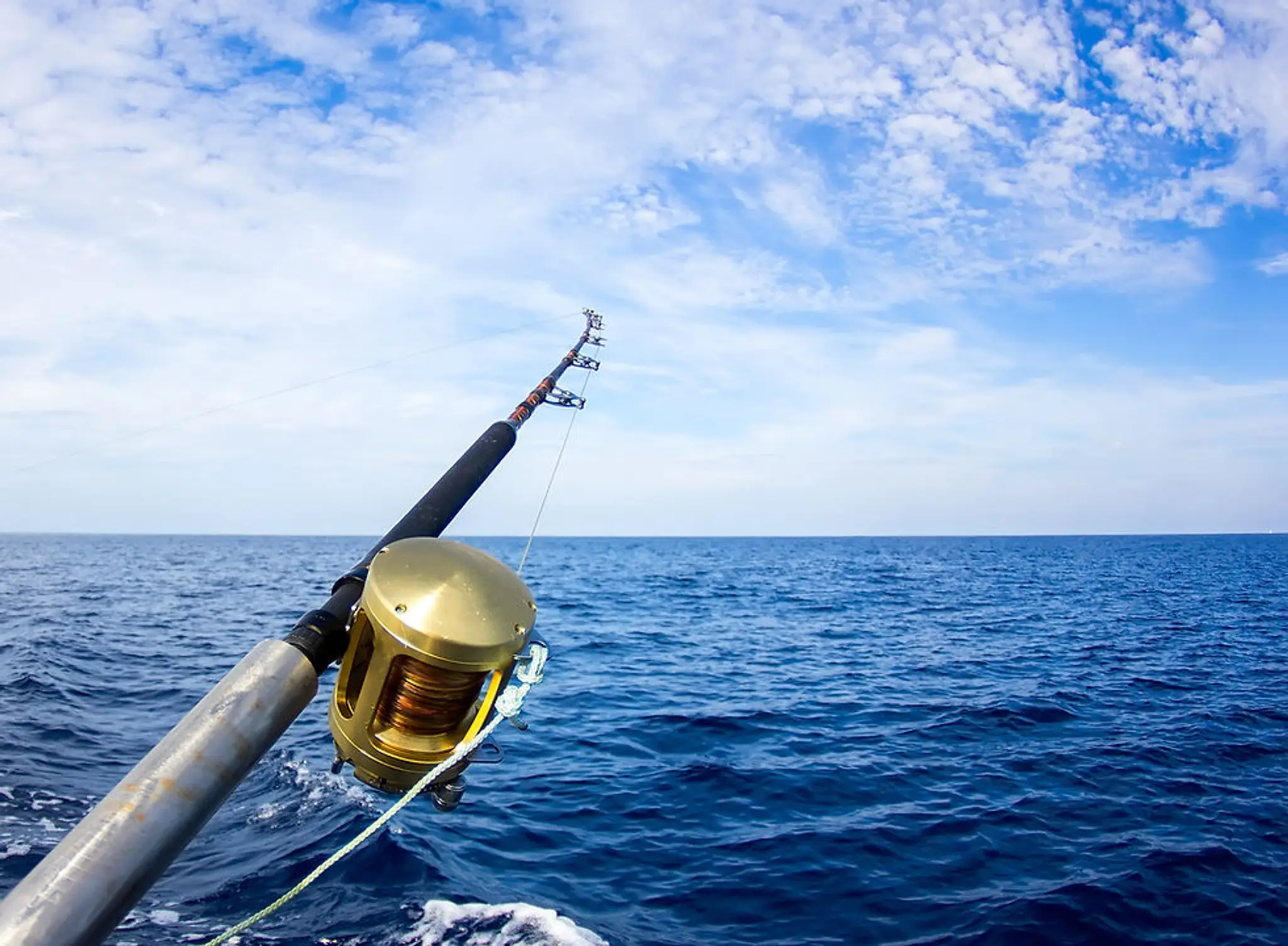 Moeraki Observer Fishing Charters