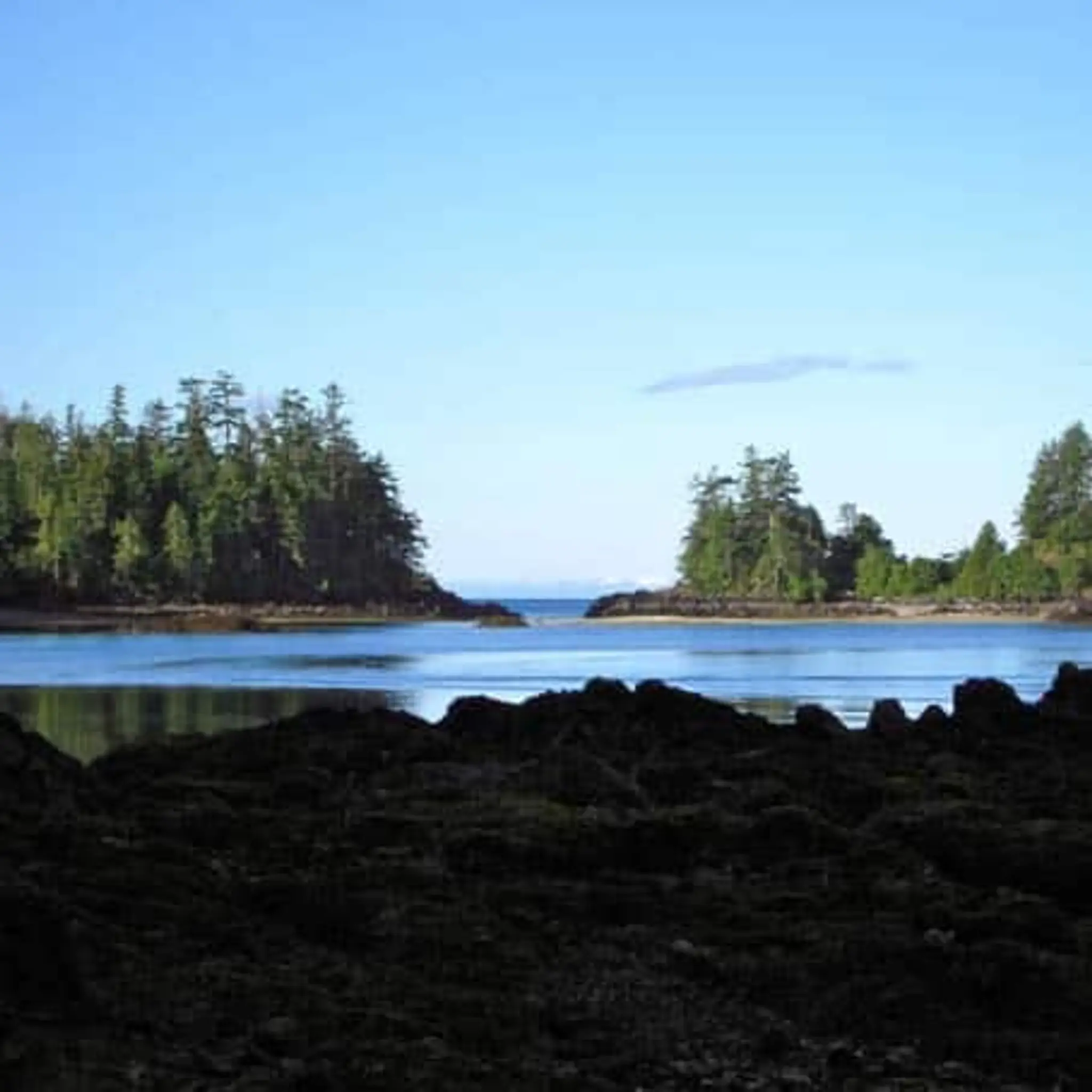 Slam Bang Fishing Lodge