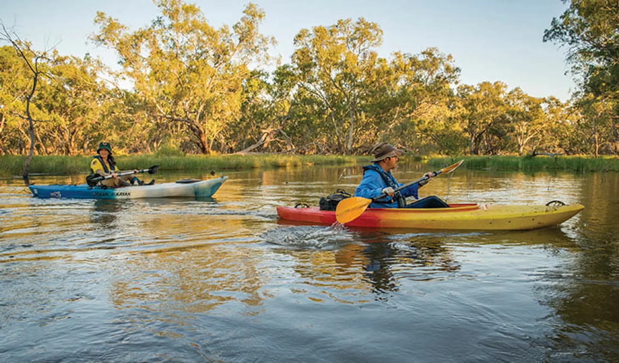 Murray River canoe trails