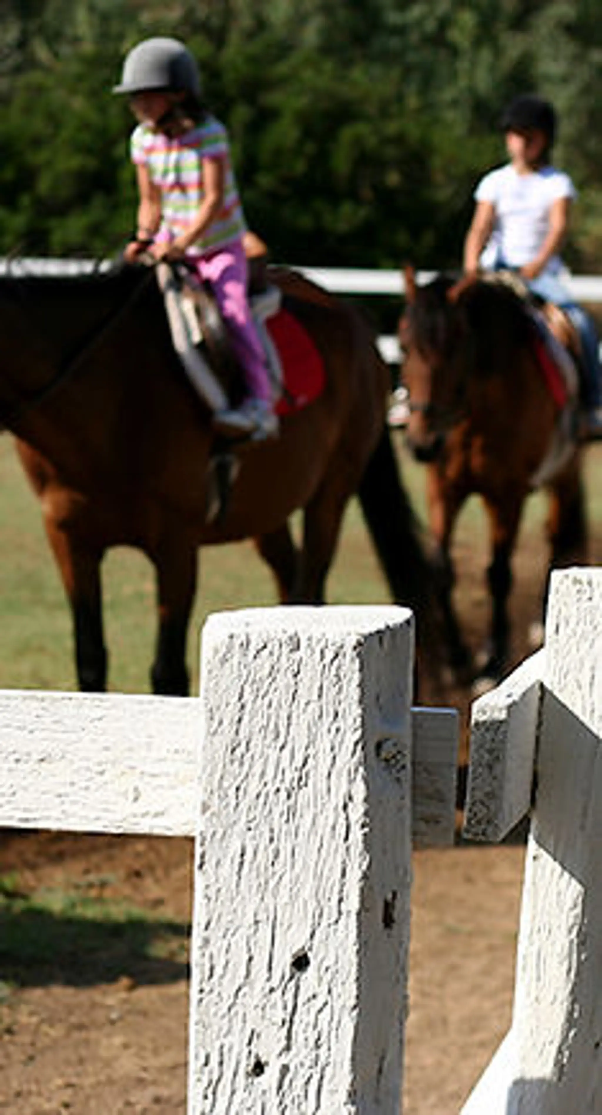Mill House Equestrian Centre