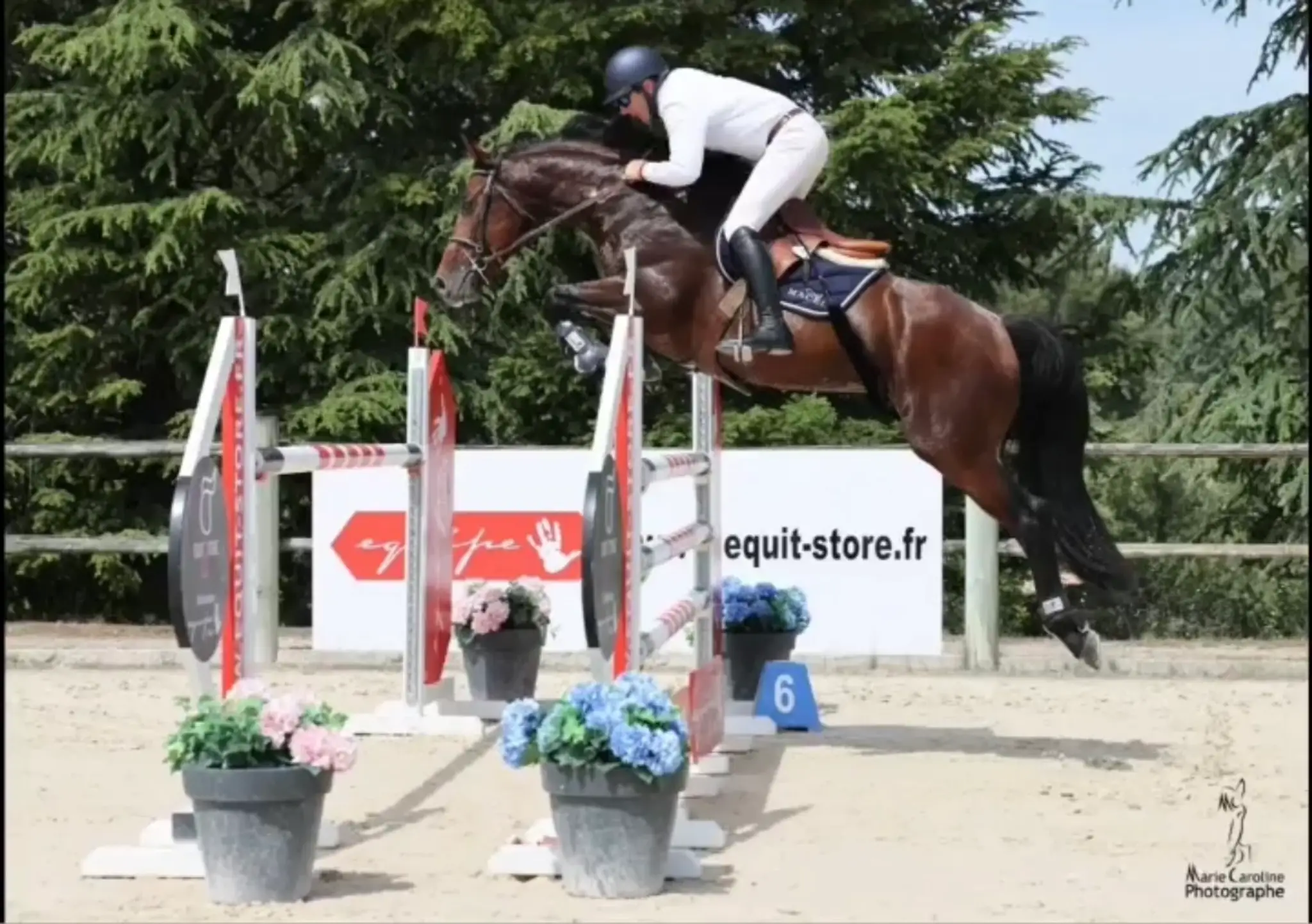 Stables Lecomte Lievaux