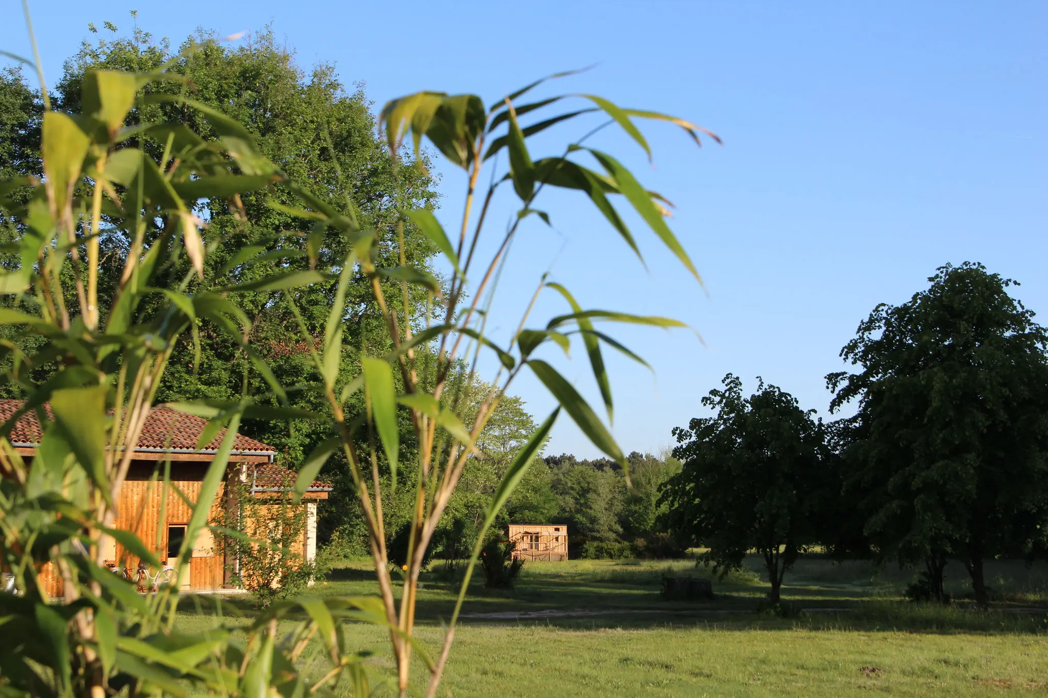 Une Parenthèse