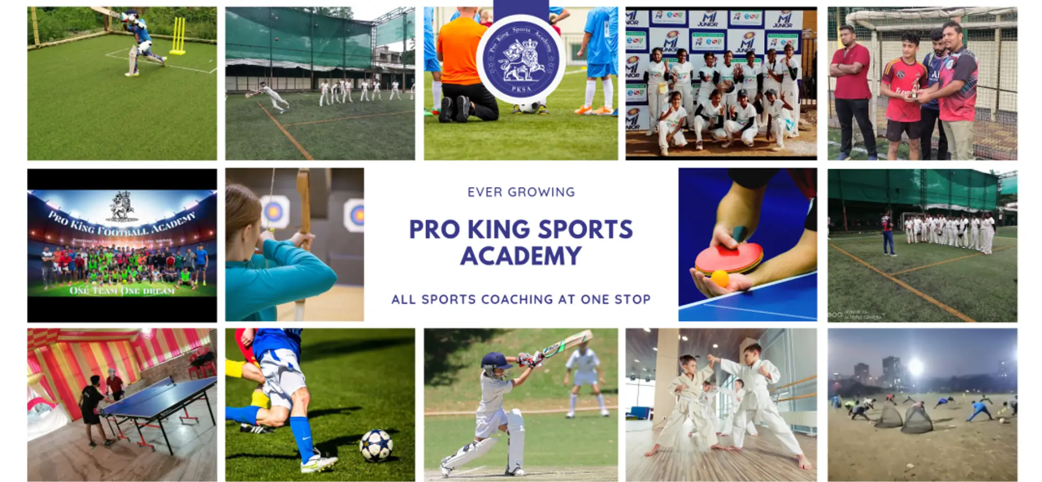 Pro King Cricket Academy
