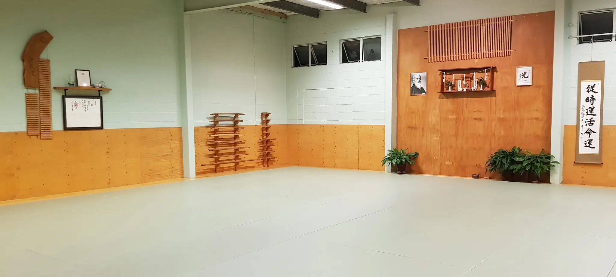 RIAI Aikido Learning Centre