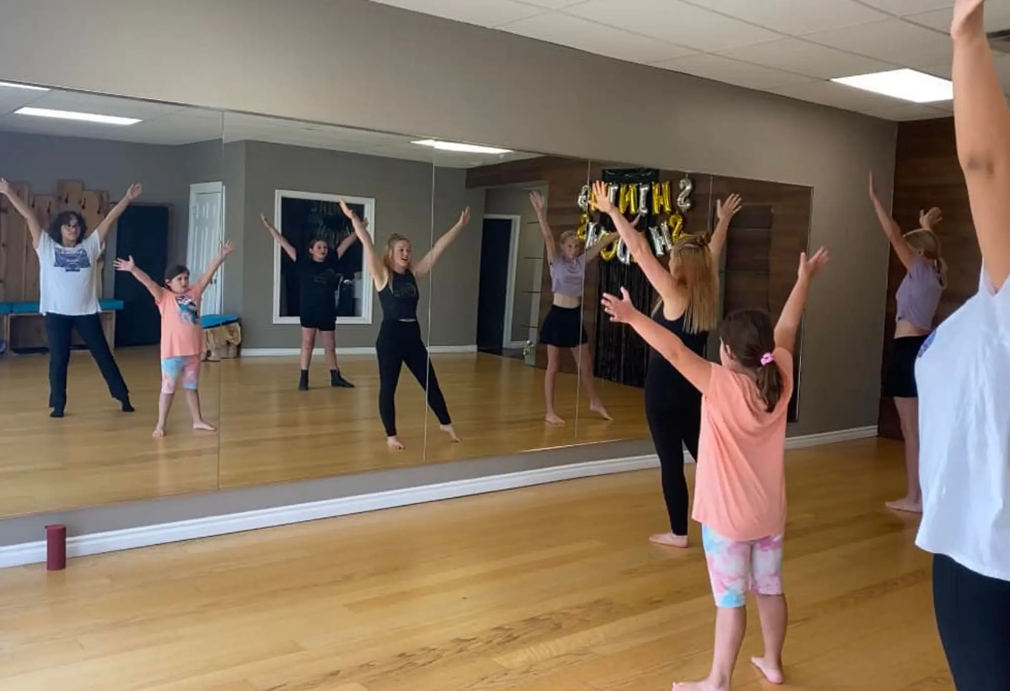 Shining Shadows Studio