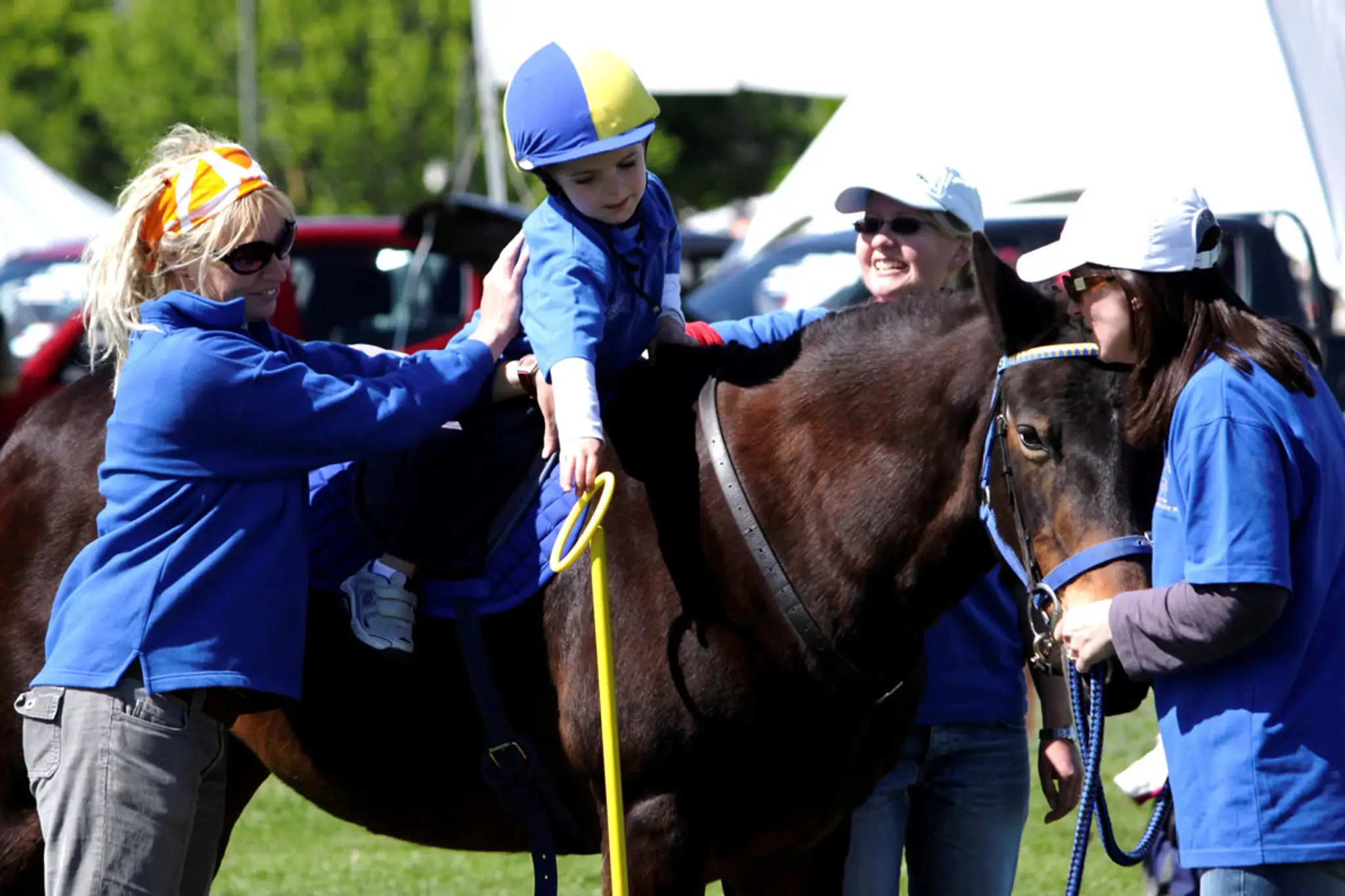 Riding For The Disabled - Hastings Group