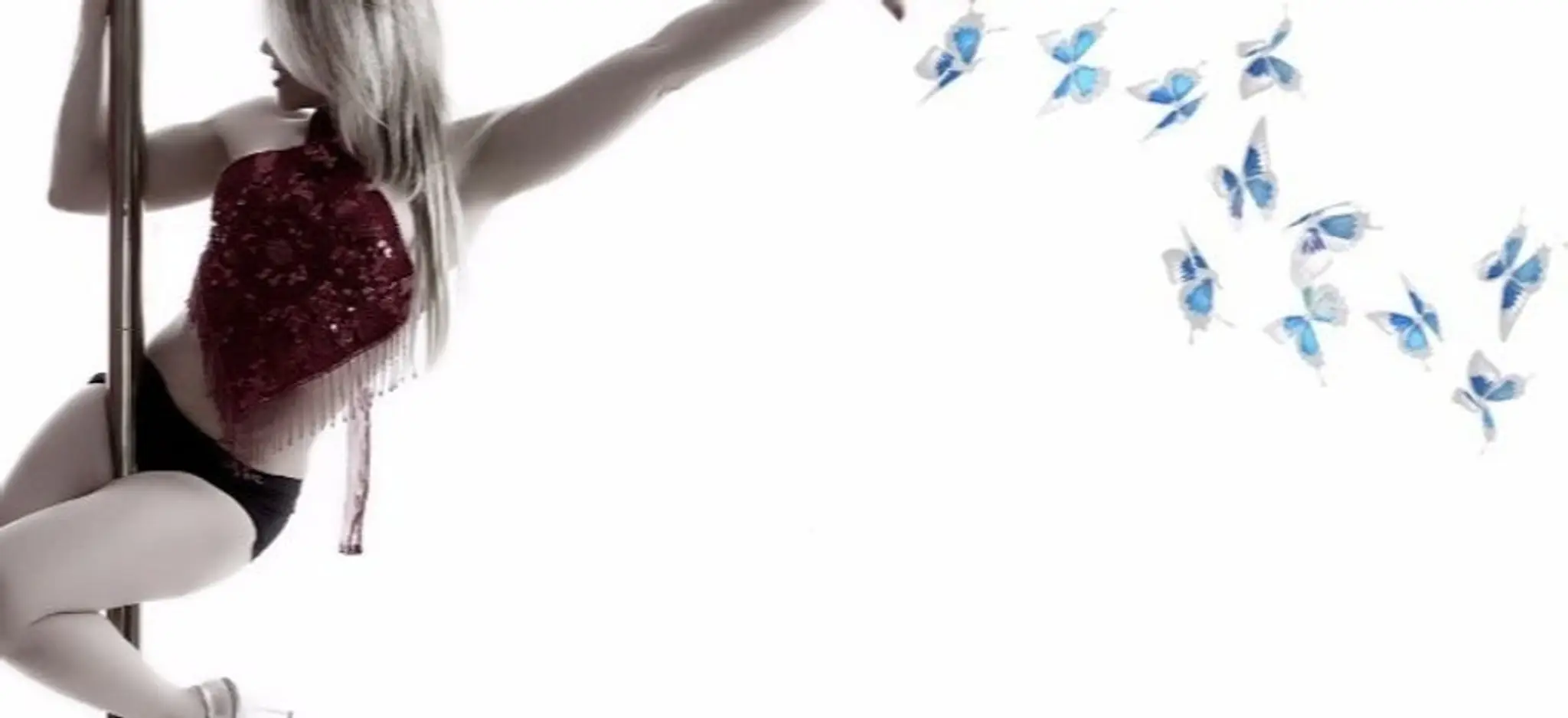 Brasil Butterfly Studio