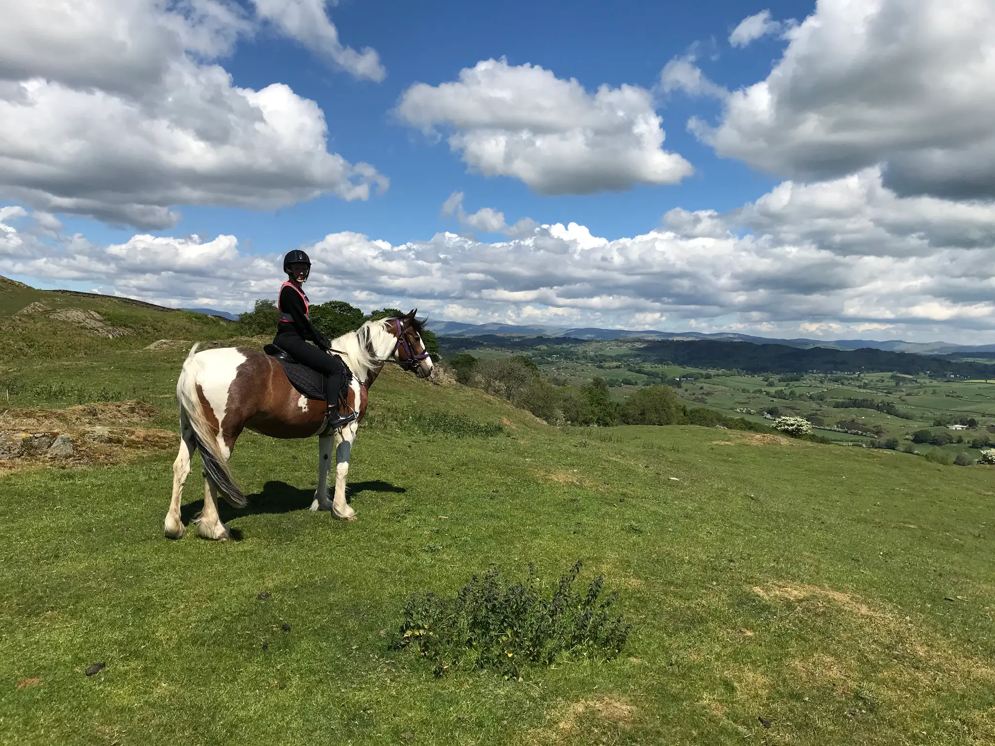 Witherslack Hall Equestrian Centre