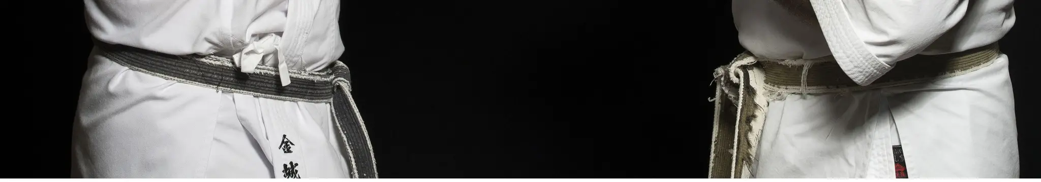 Taupaki Goju Ryu Karate (TAUPAKI HALL)