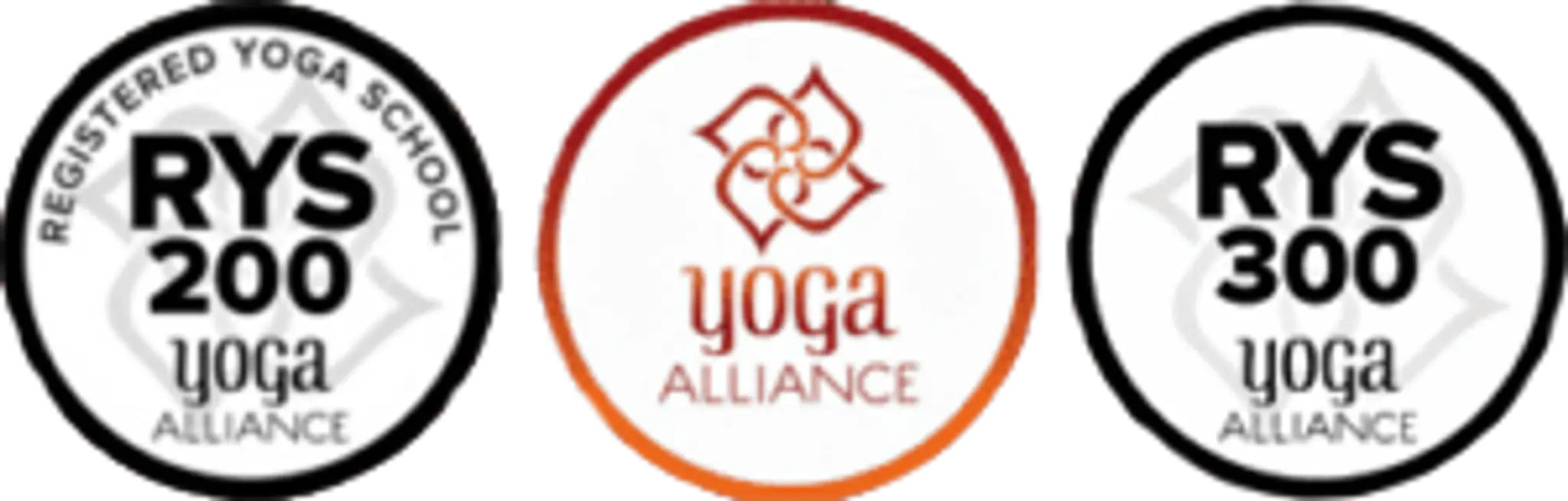 Yoga Adi School Of Yoga | Yoga School in Rishikesh