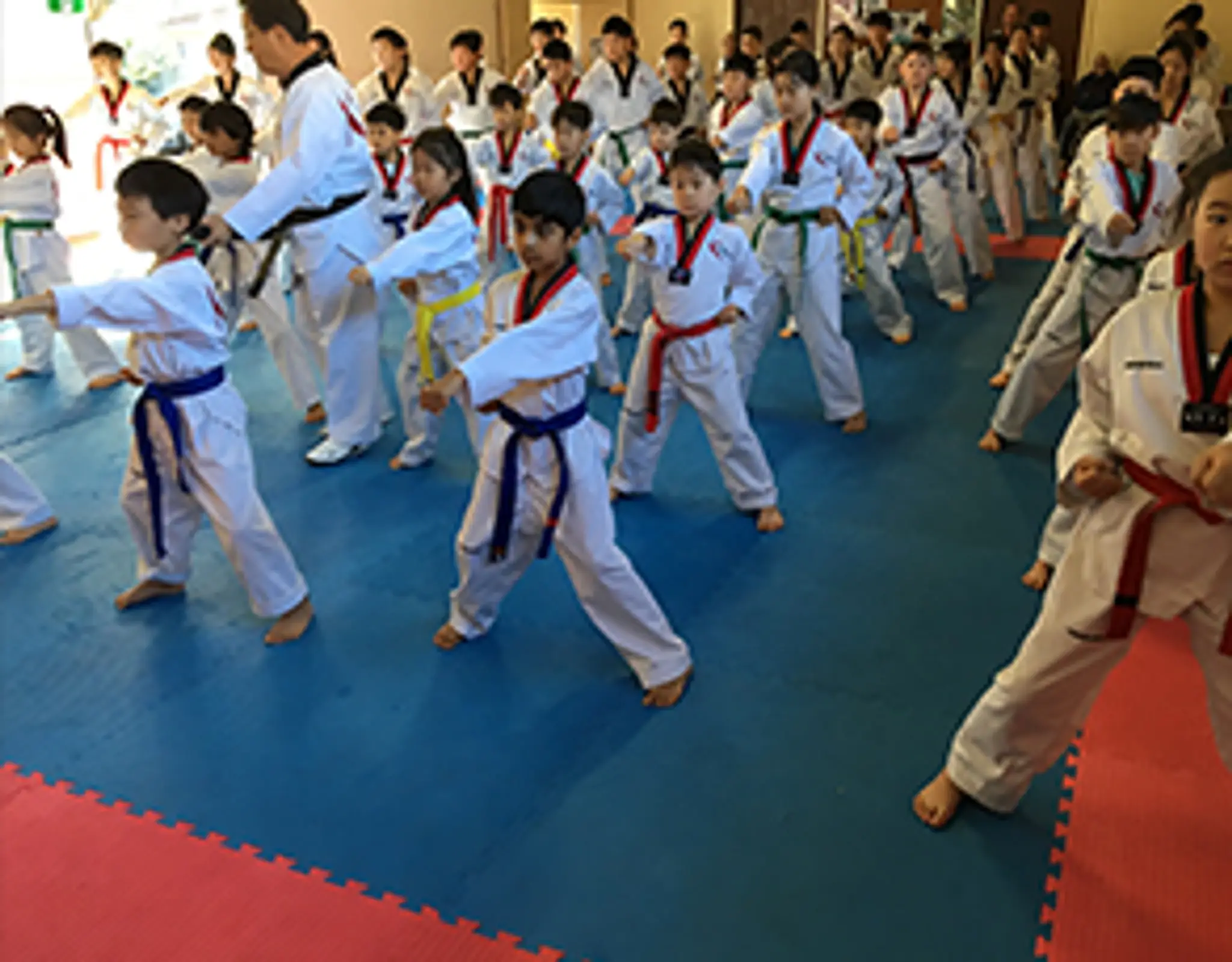 Kang's Taekwondo Lindfield