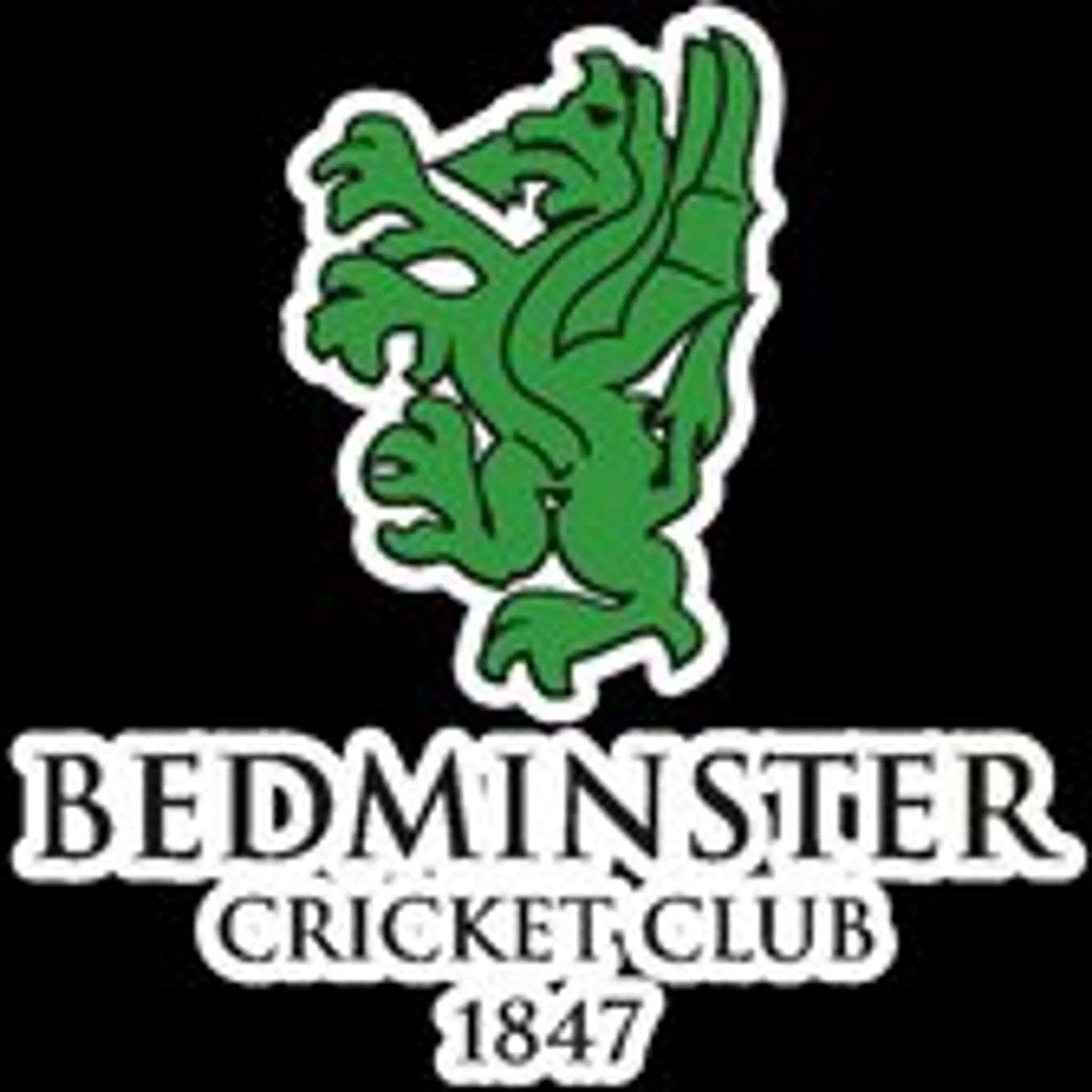 Bedminster Cricket Club