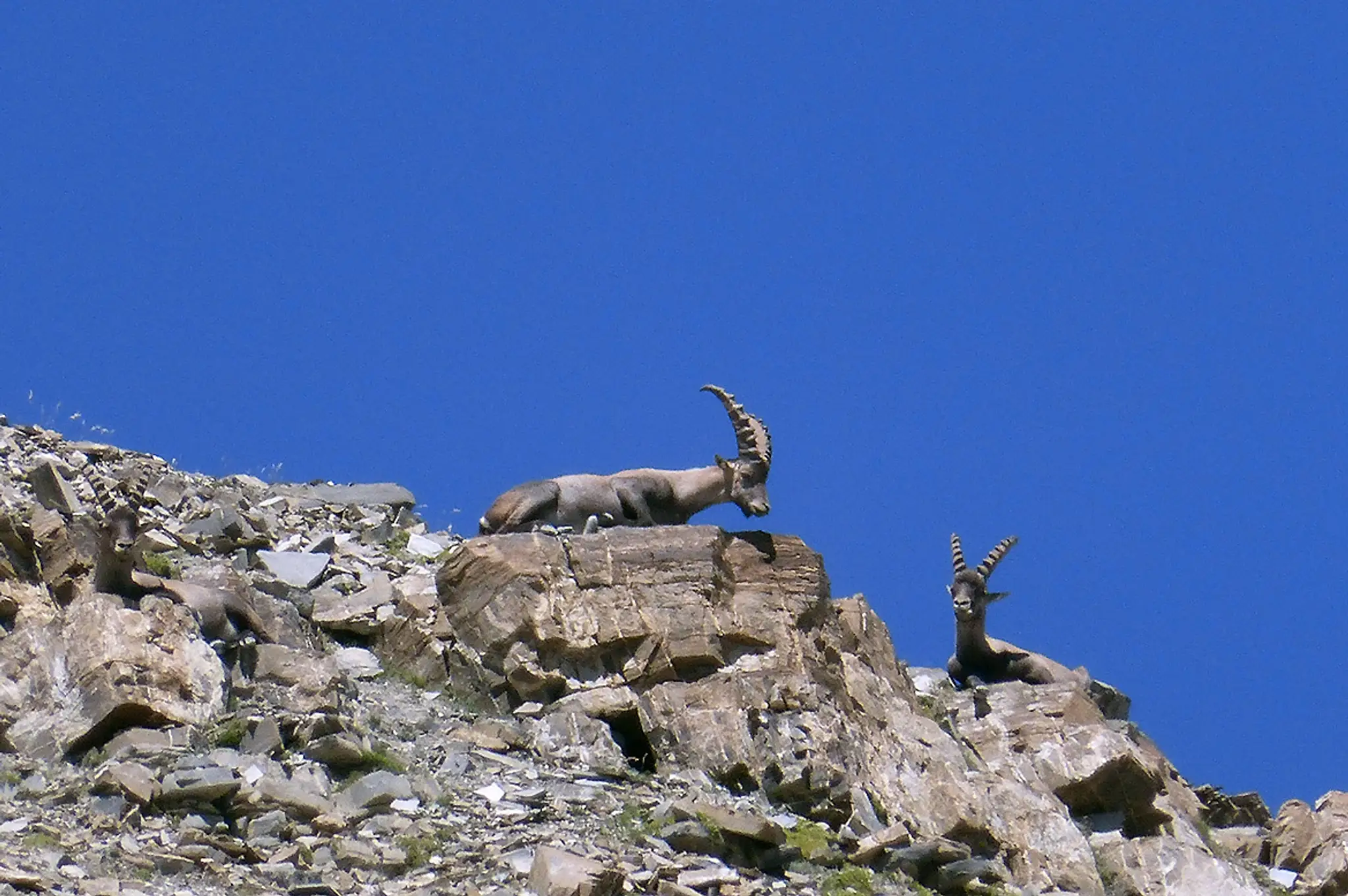 Rando Passion - Maison de la Montagne