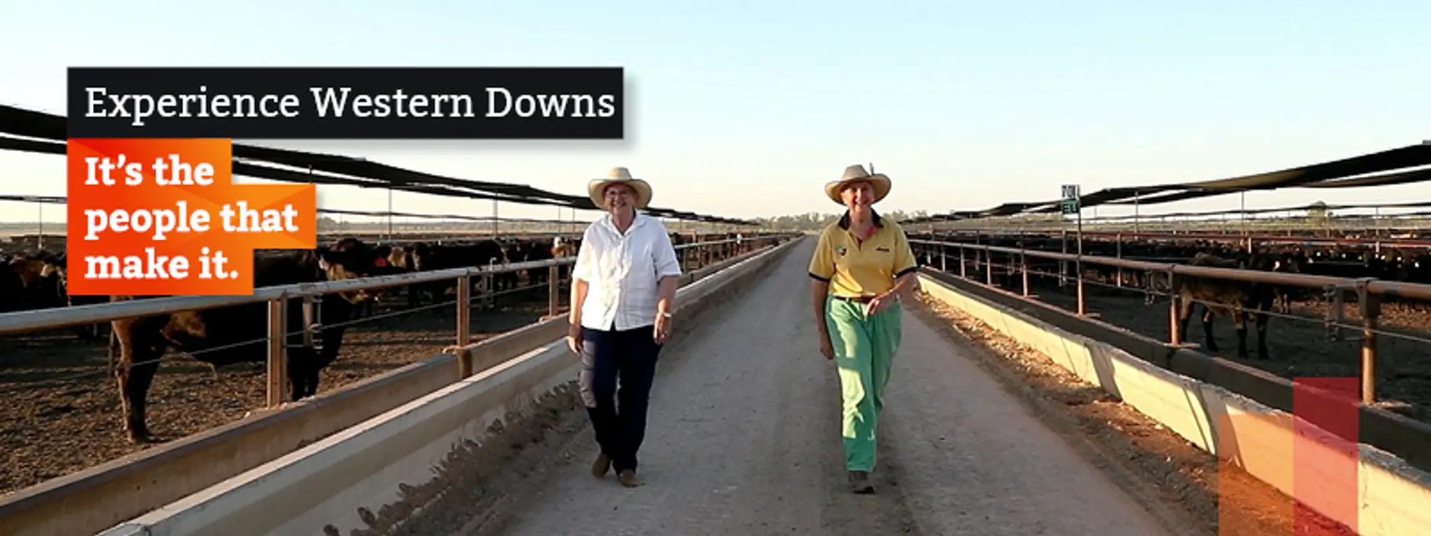 Wandoan Swimming Pool