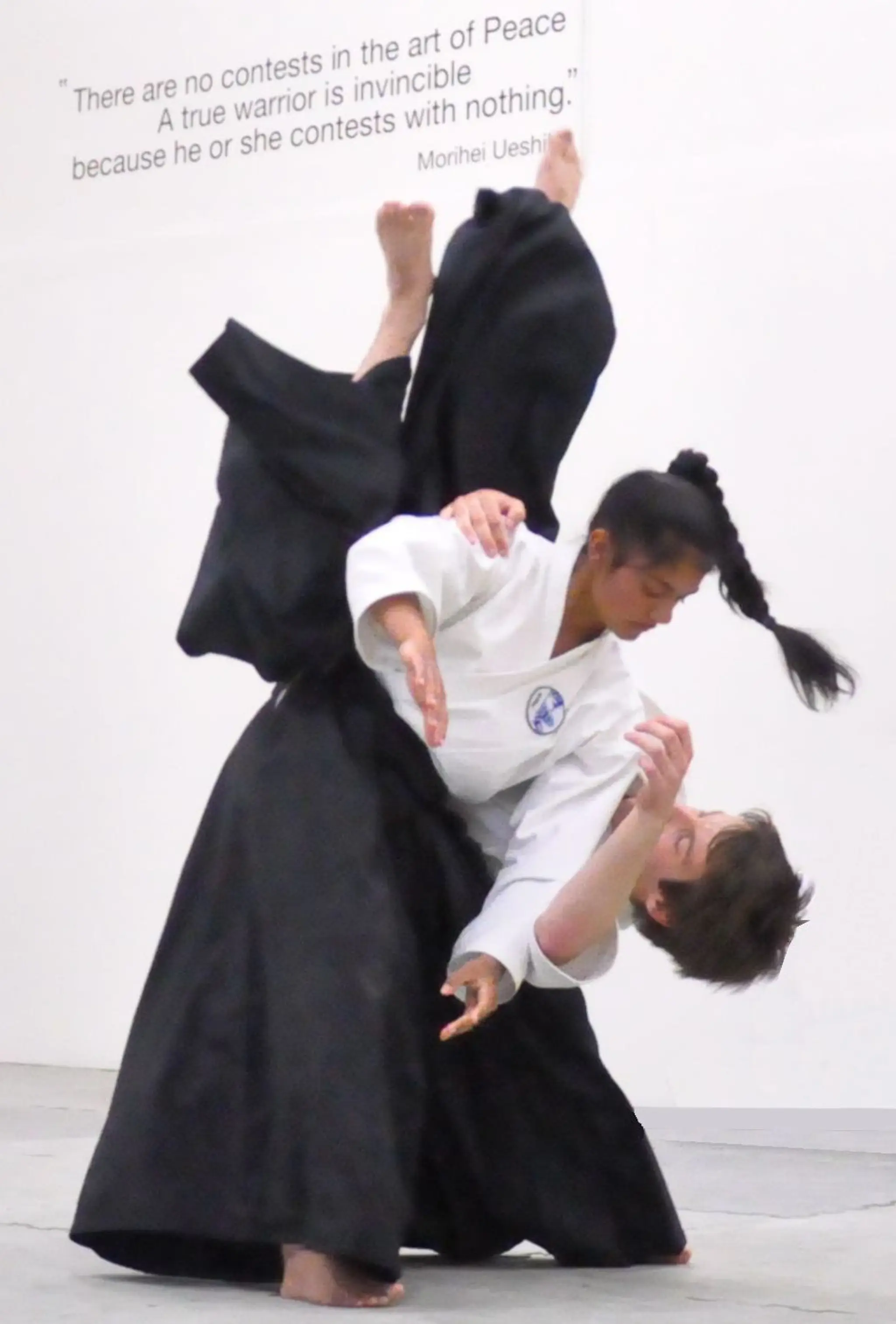 Kyu Shin Do Aikido (North Shore) Inc