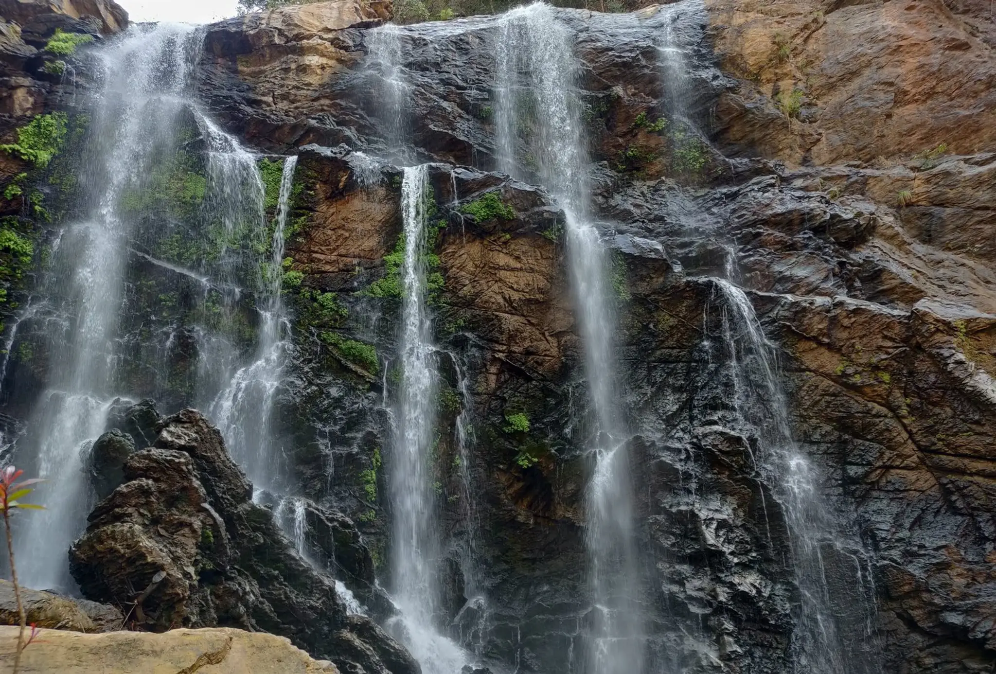 Wild Planet Jungle Resort, Dandeli