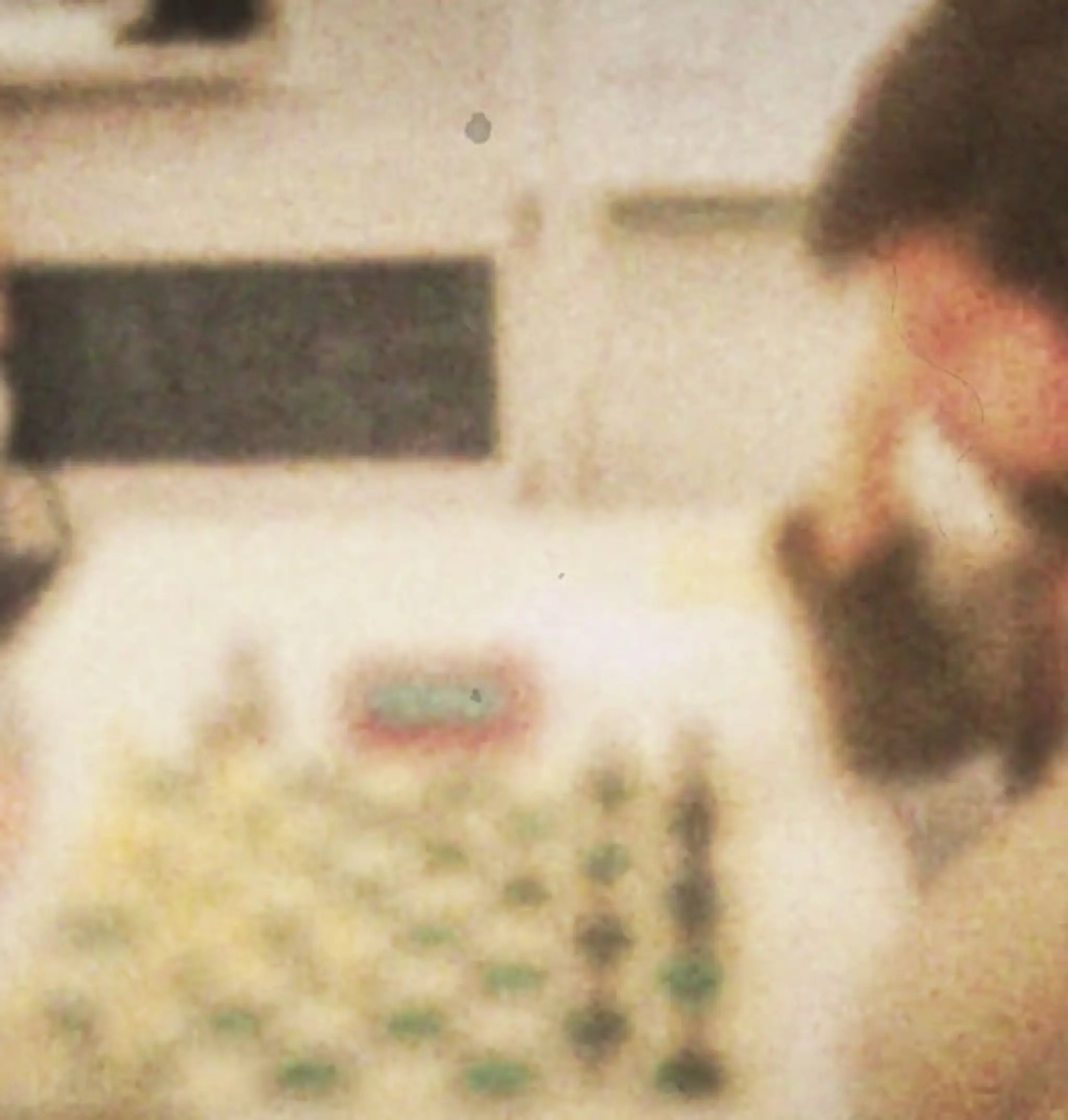 Gold Coast Chess Club