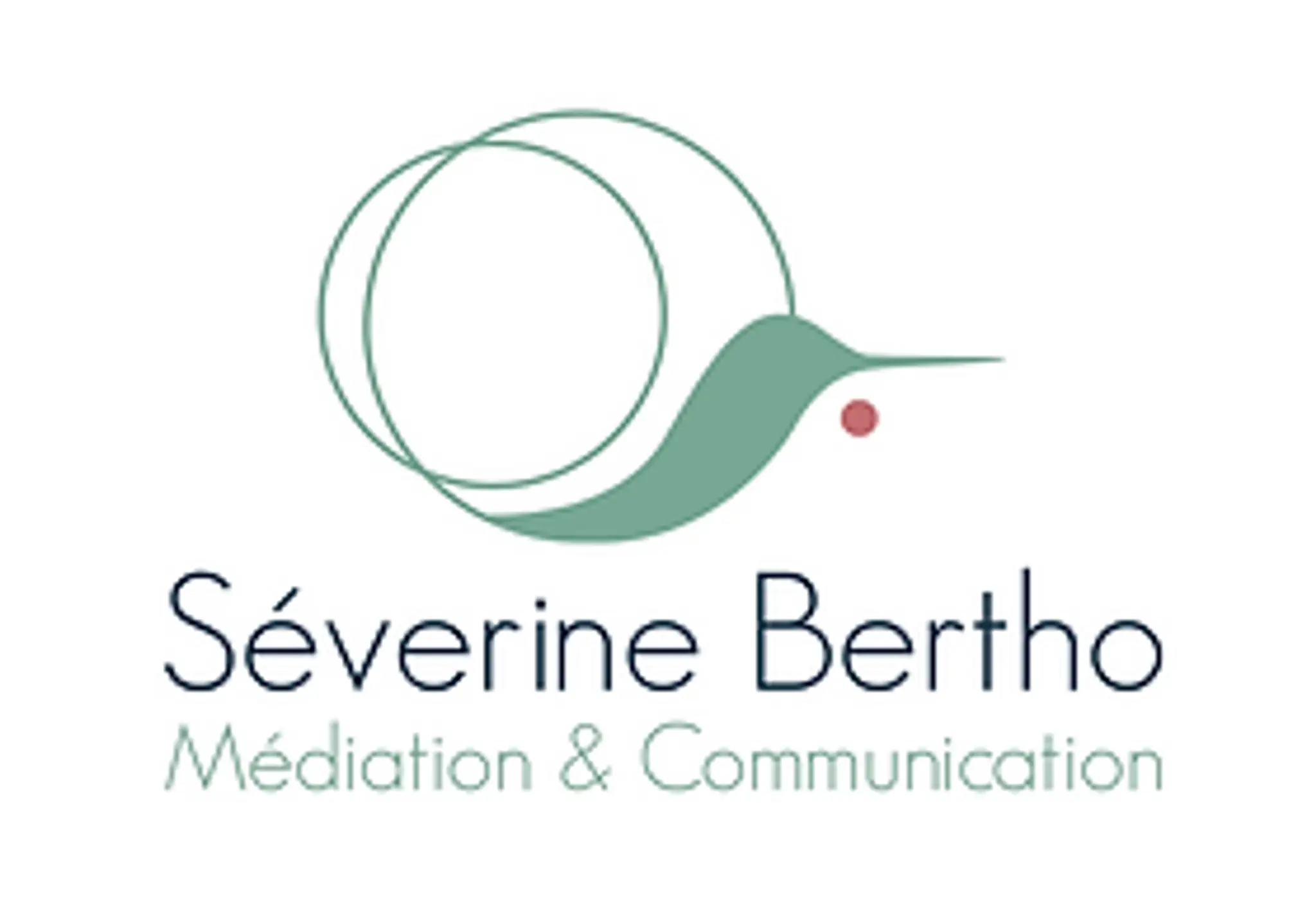 CNV à Tours (Communication non violente) / S.Bertho